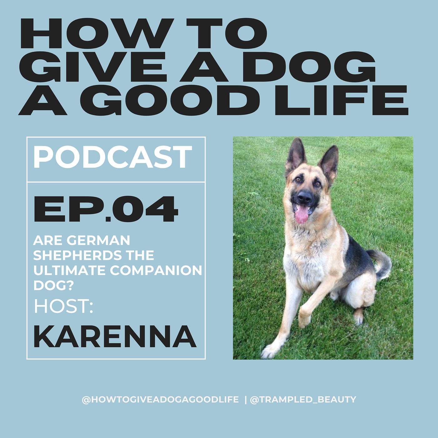 Are German Shepherds The Ultimate Companion Dog?