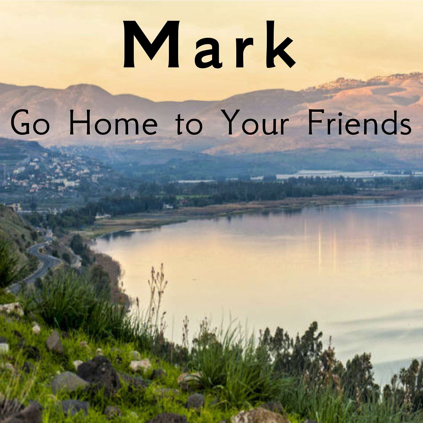 Mark: Go Home to Your Friends