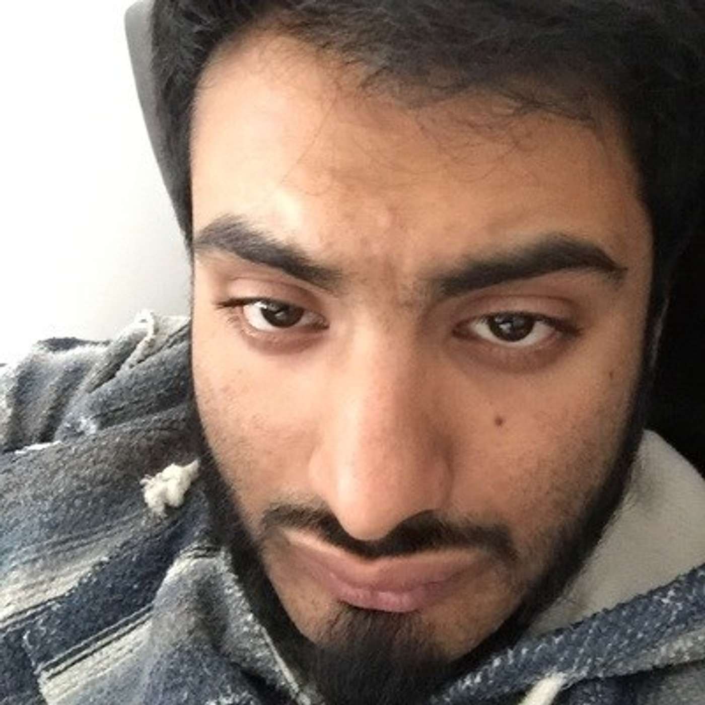 Canadian Intelligence Eh