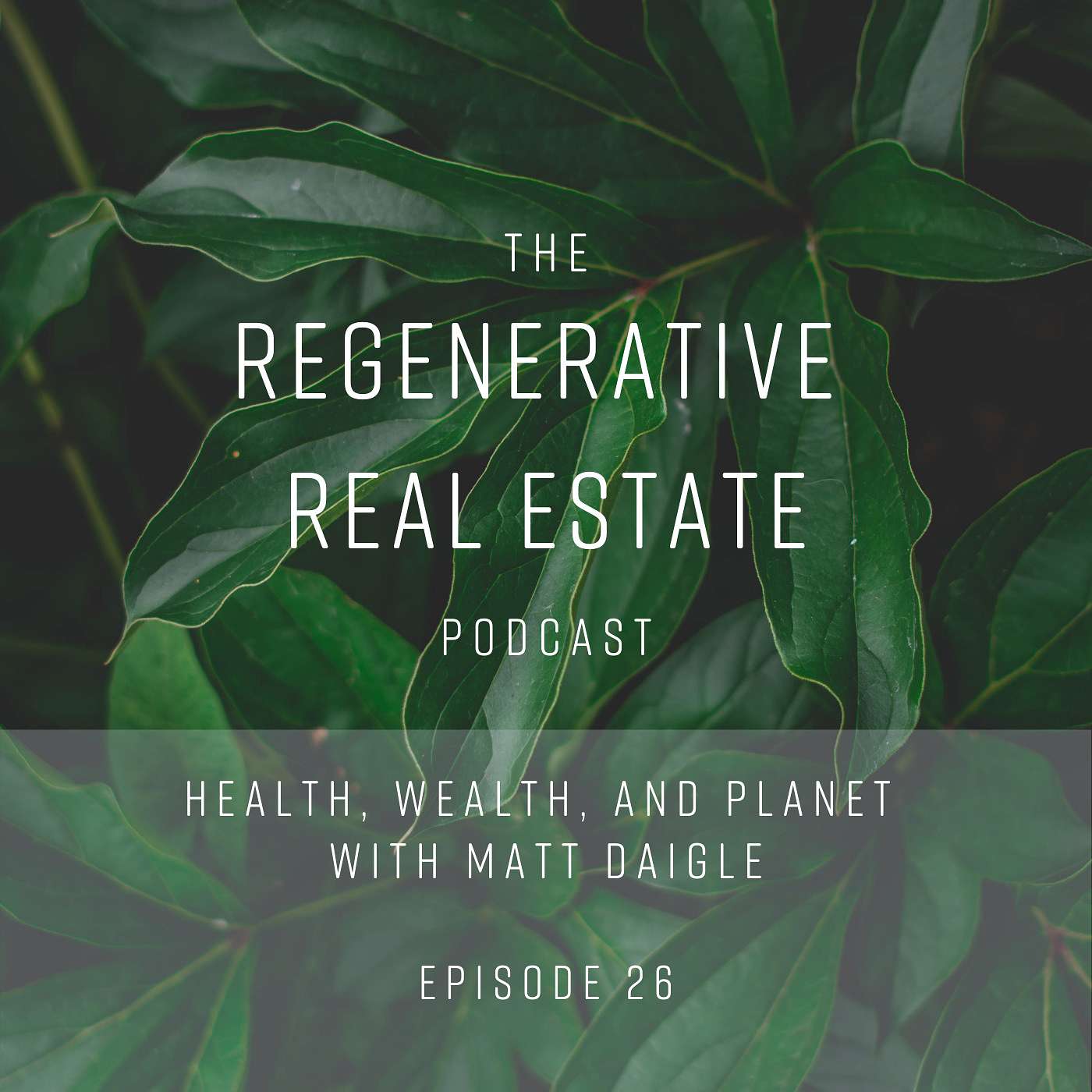 cover of episode Health, wealth, and planet with Matt Daigle