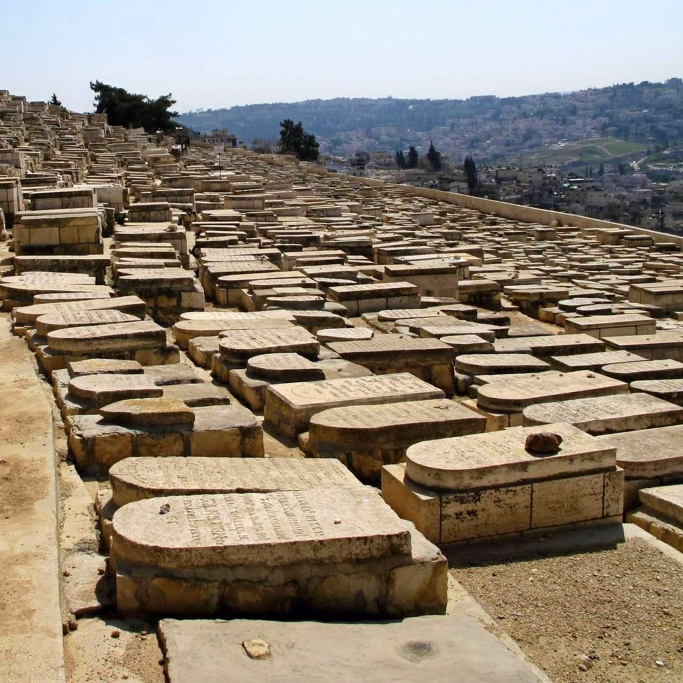 Israel Mosaic: Land People Story