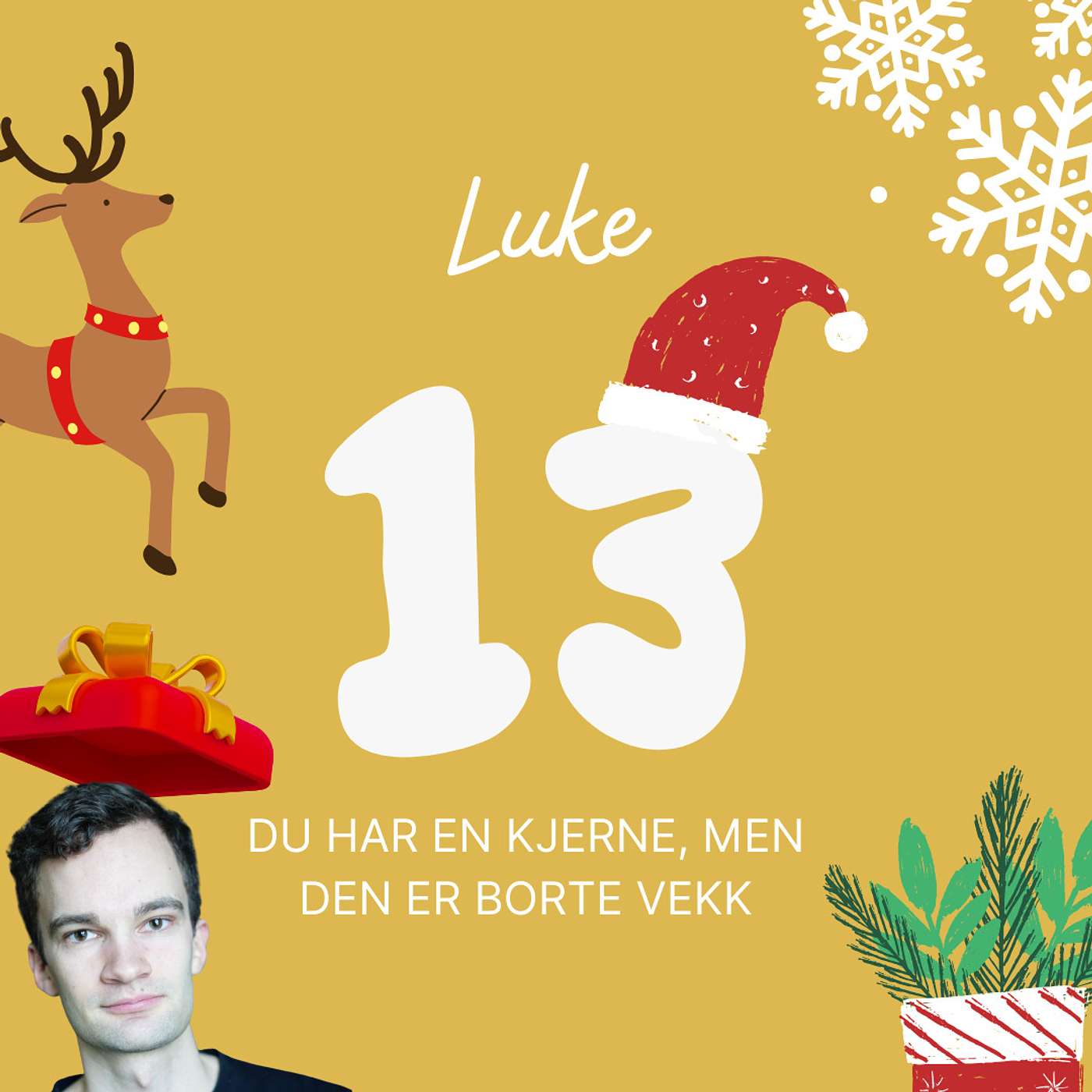 Tre Ting Ringer Julen Inn