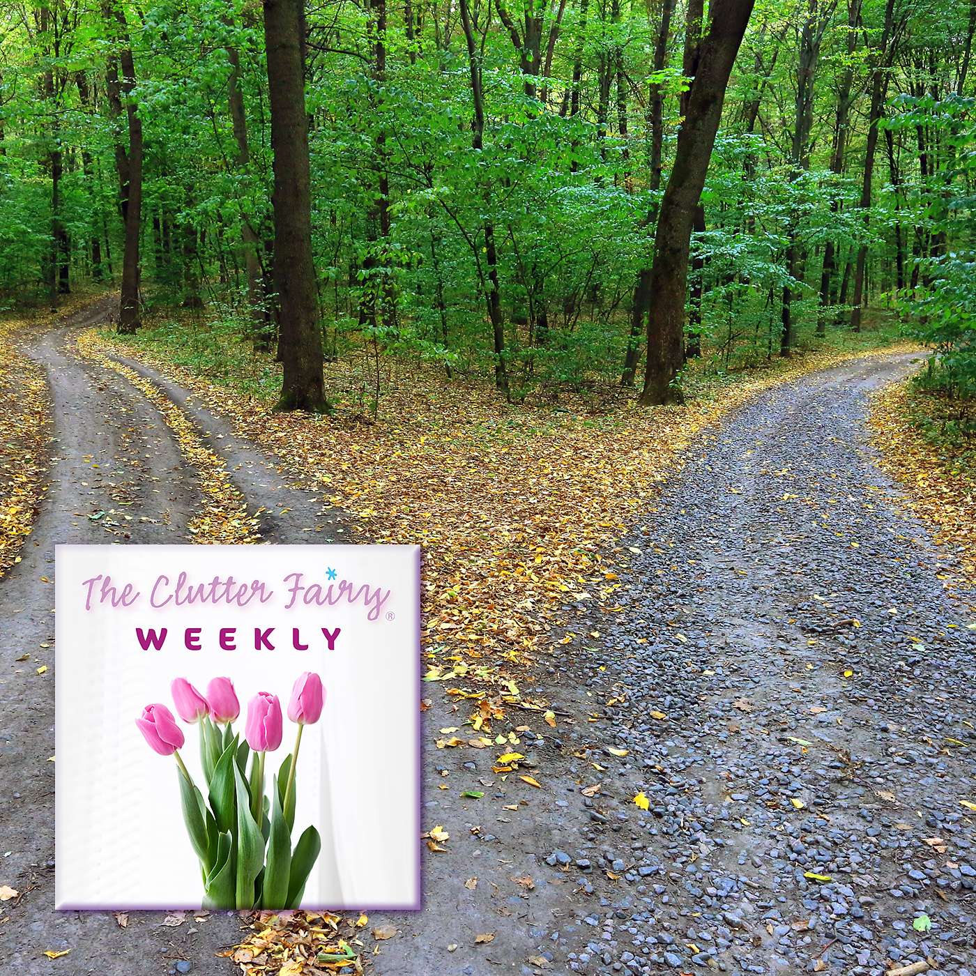 The Clutter Fairy Weekly #70 - Curveballs and Crossroads: Rethinking Our Stuff in Changing Times