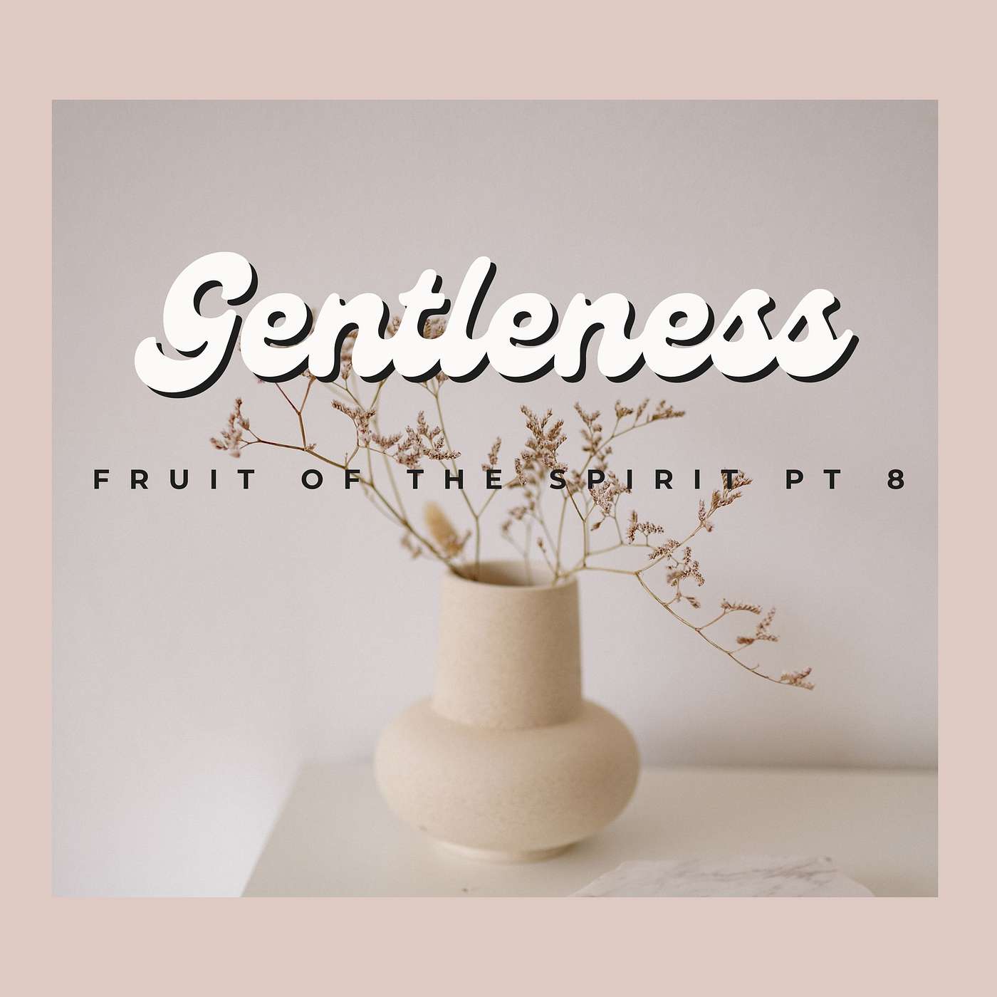 Gentleness episode artwork