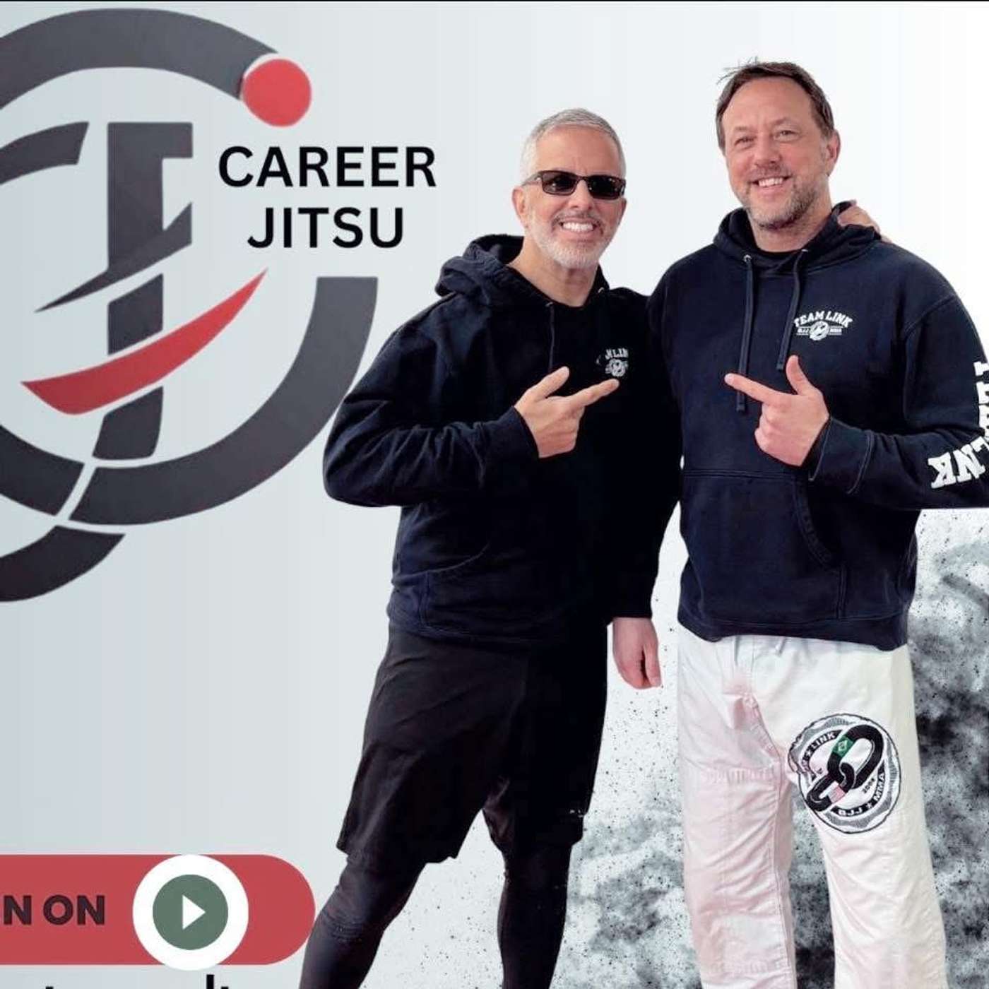 CareerJitsu: BJJ and the Workplace