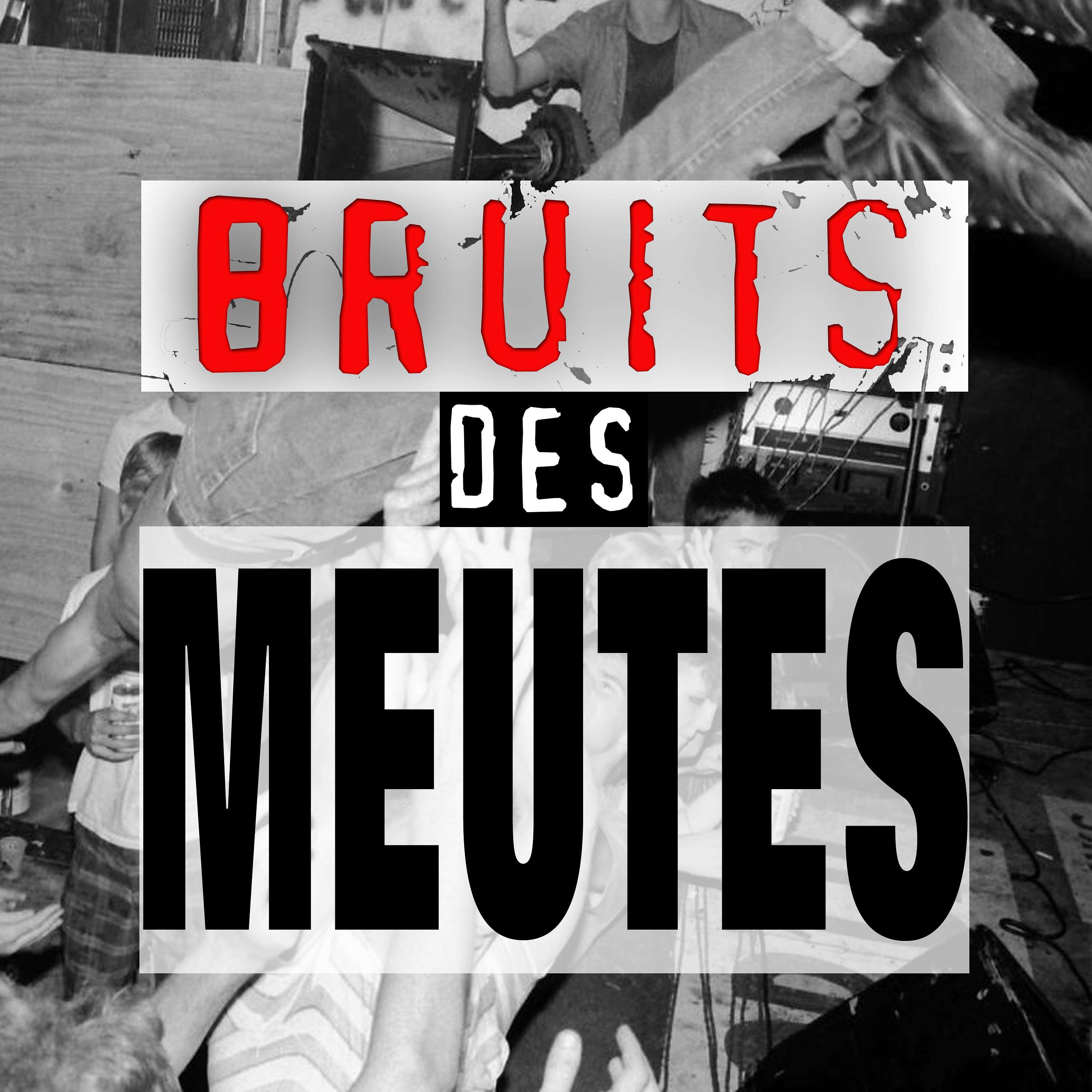 Bruits des Meutes