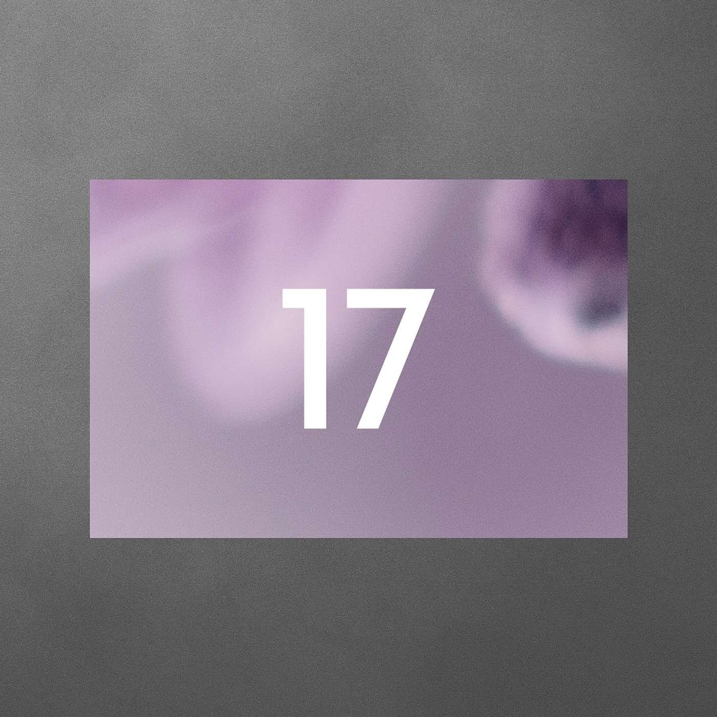 17