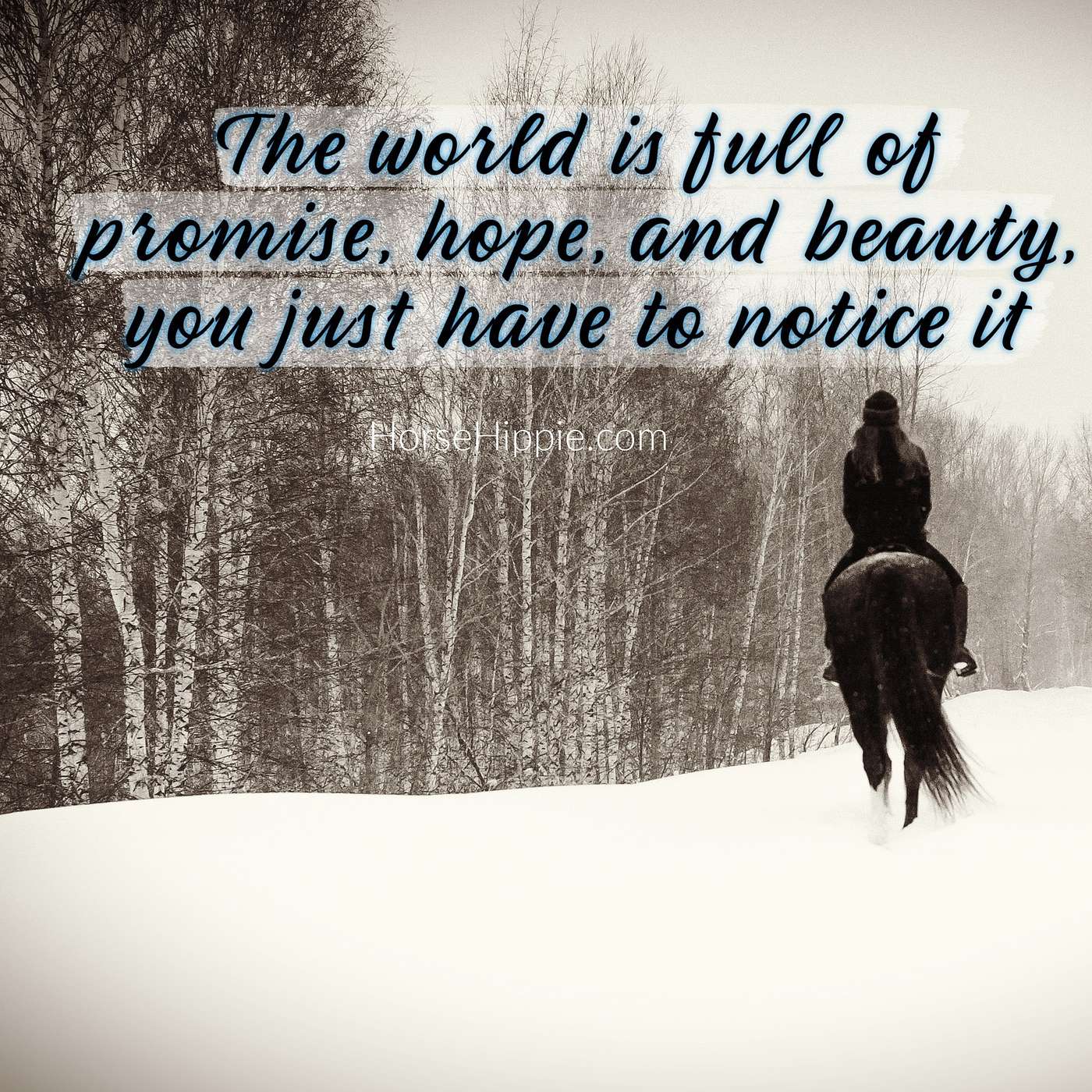 Promise, Hope and Beauty