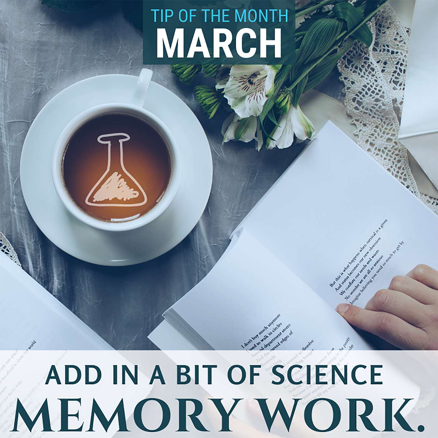 Tips for Homeschool Science Podcast from Elemental Science