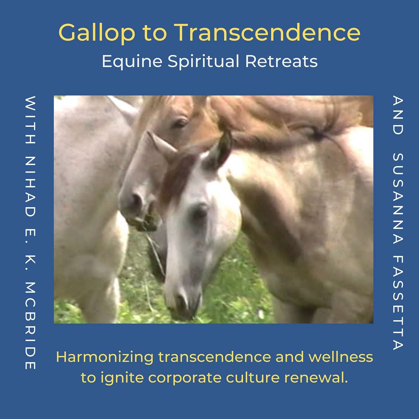 Gallop to Transcendance - Equine Spiritual Retreats