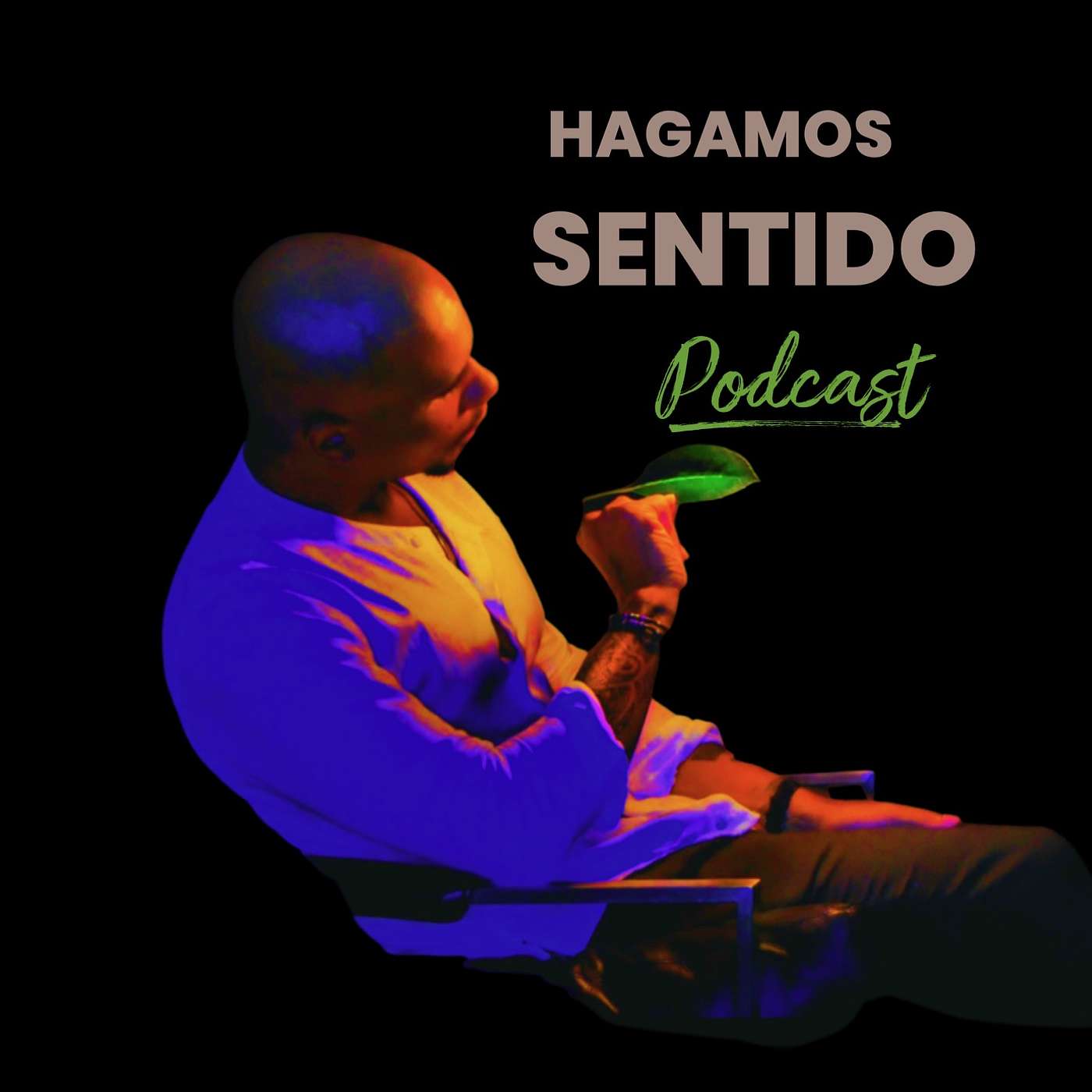 HAGAMOS SENTIDO podcast