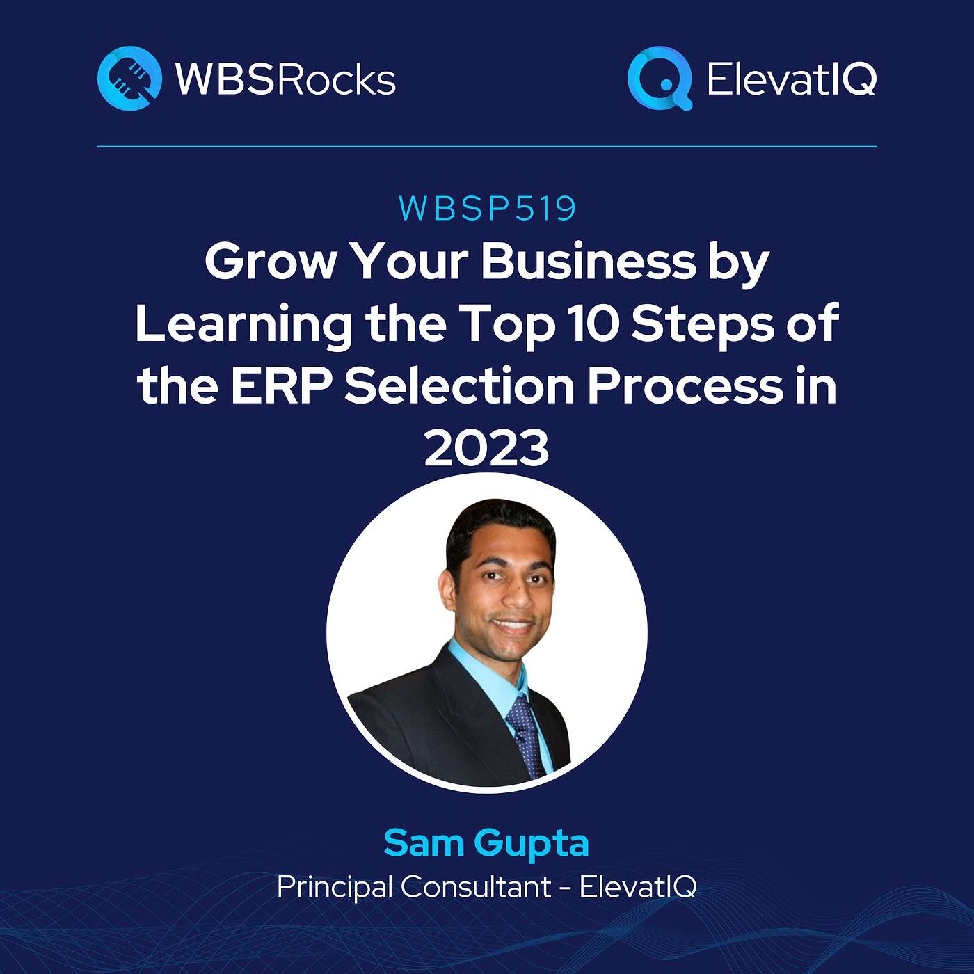 WBSRocks: Business Growth with Enterprise Software and Digital Transformation