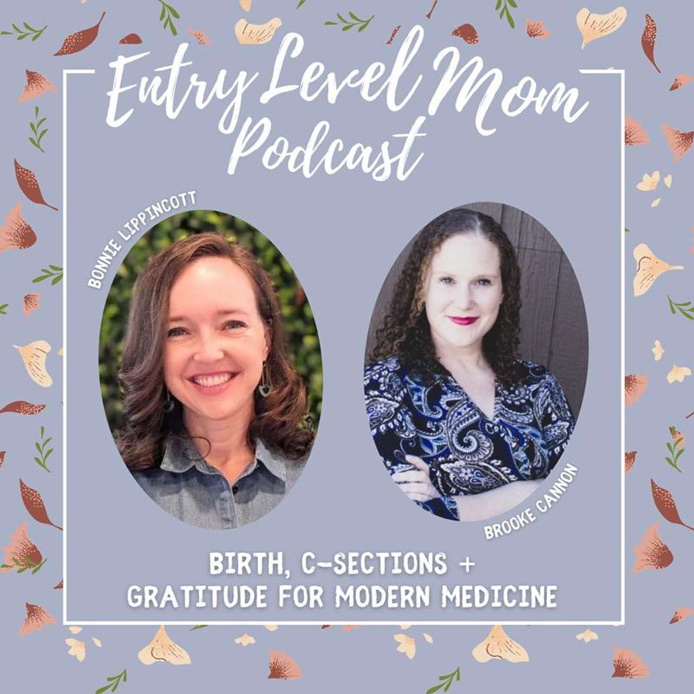 Entry Level Mom Podcast