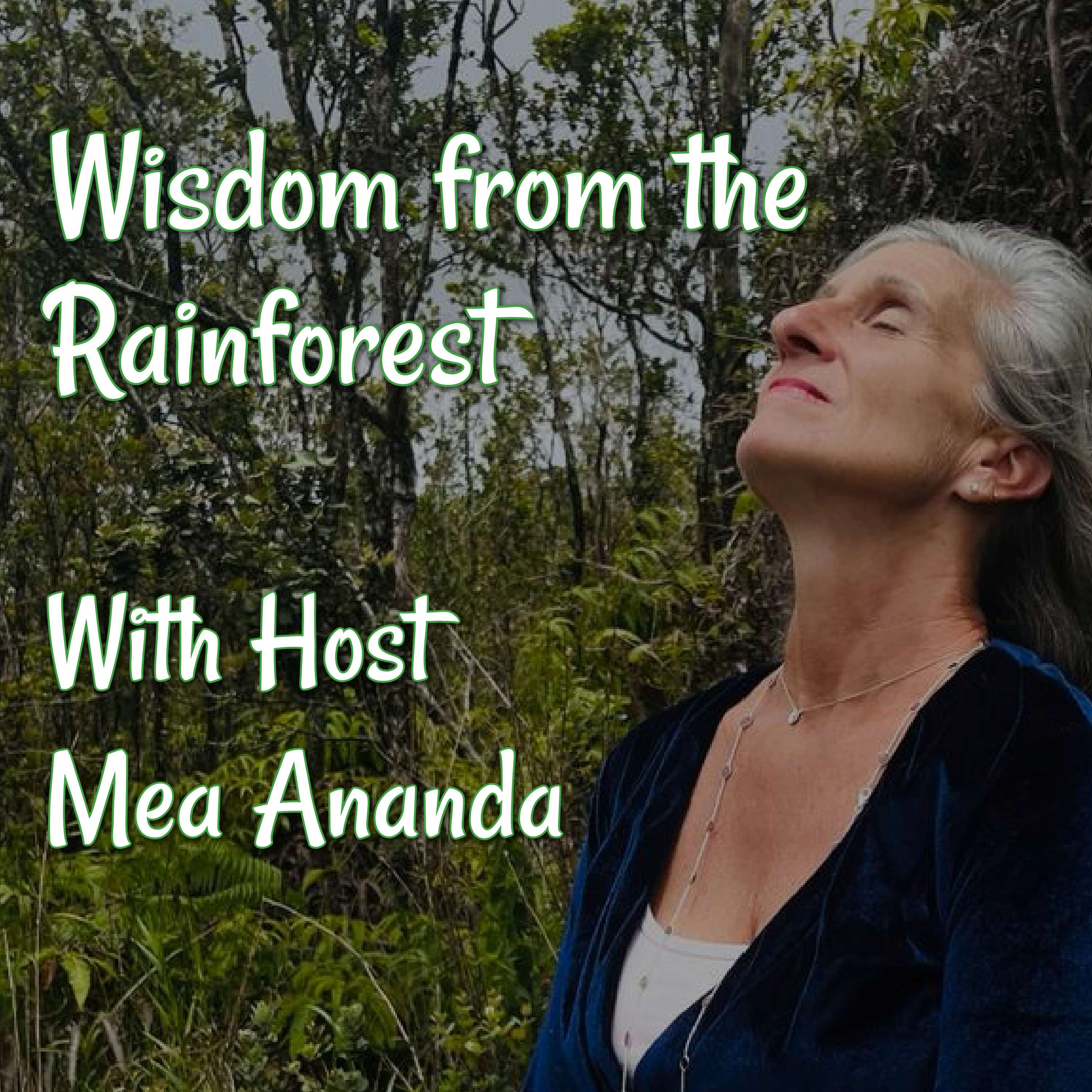 Wisdom from the Rainforest