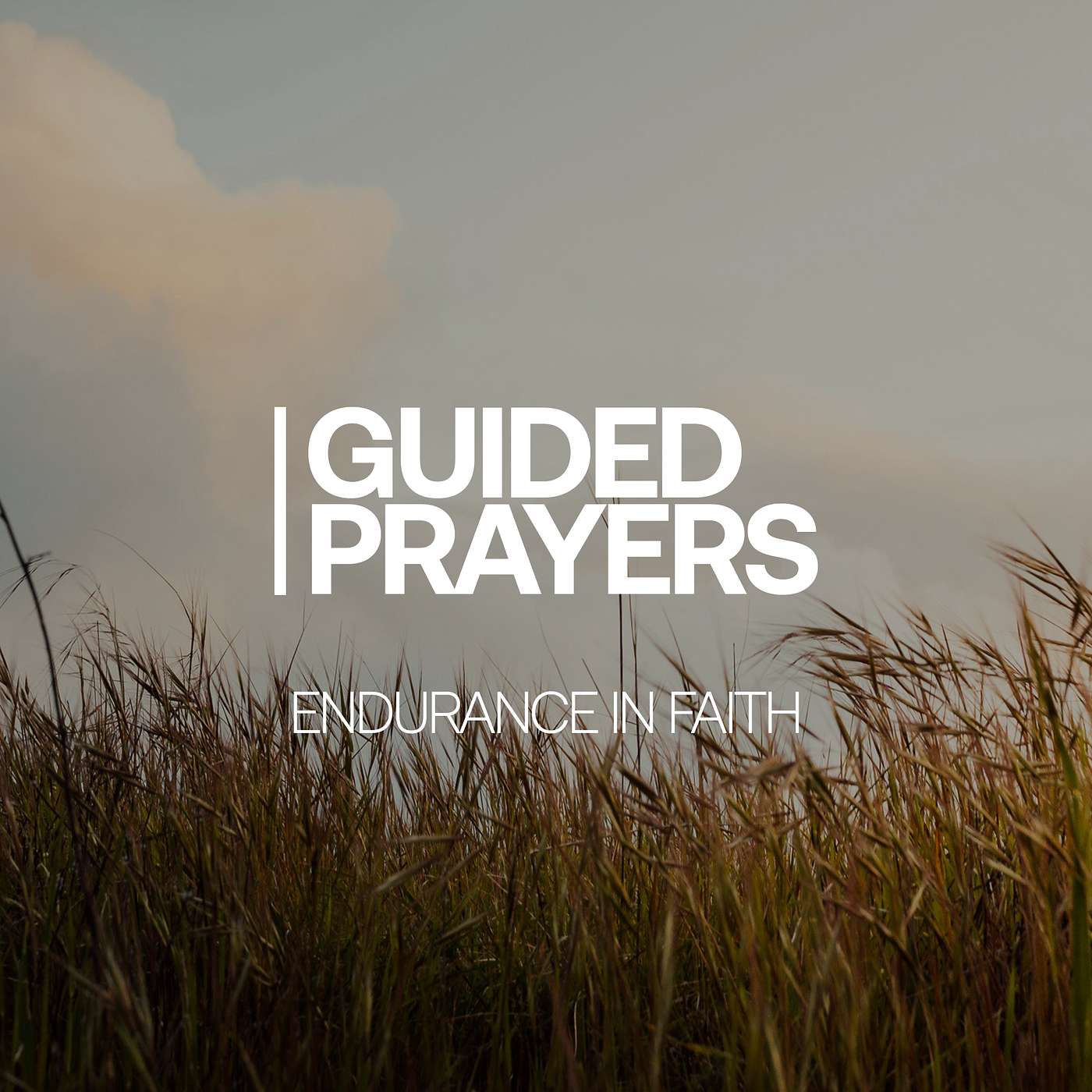 Trust He Will Carry You Forward | Guided Prayers episode artwork