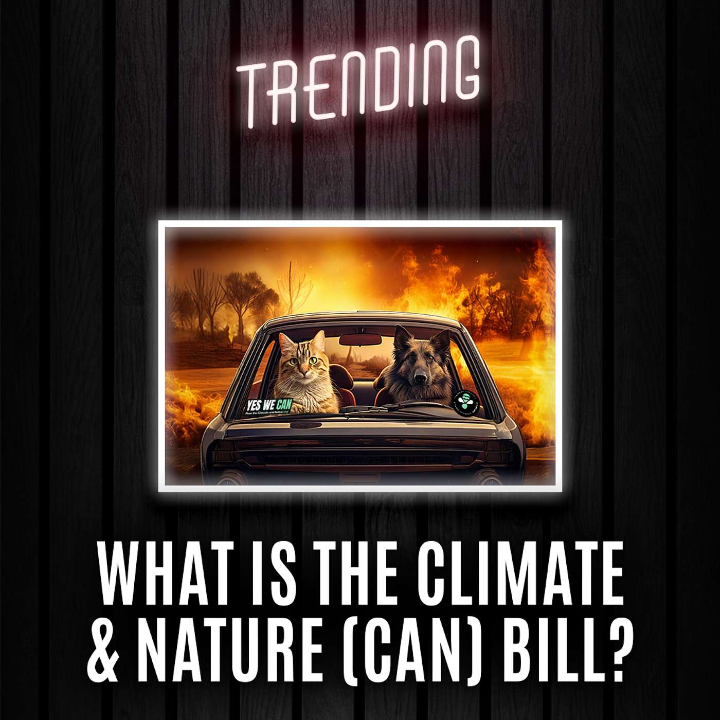 Trending