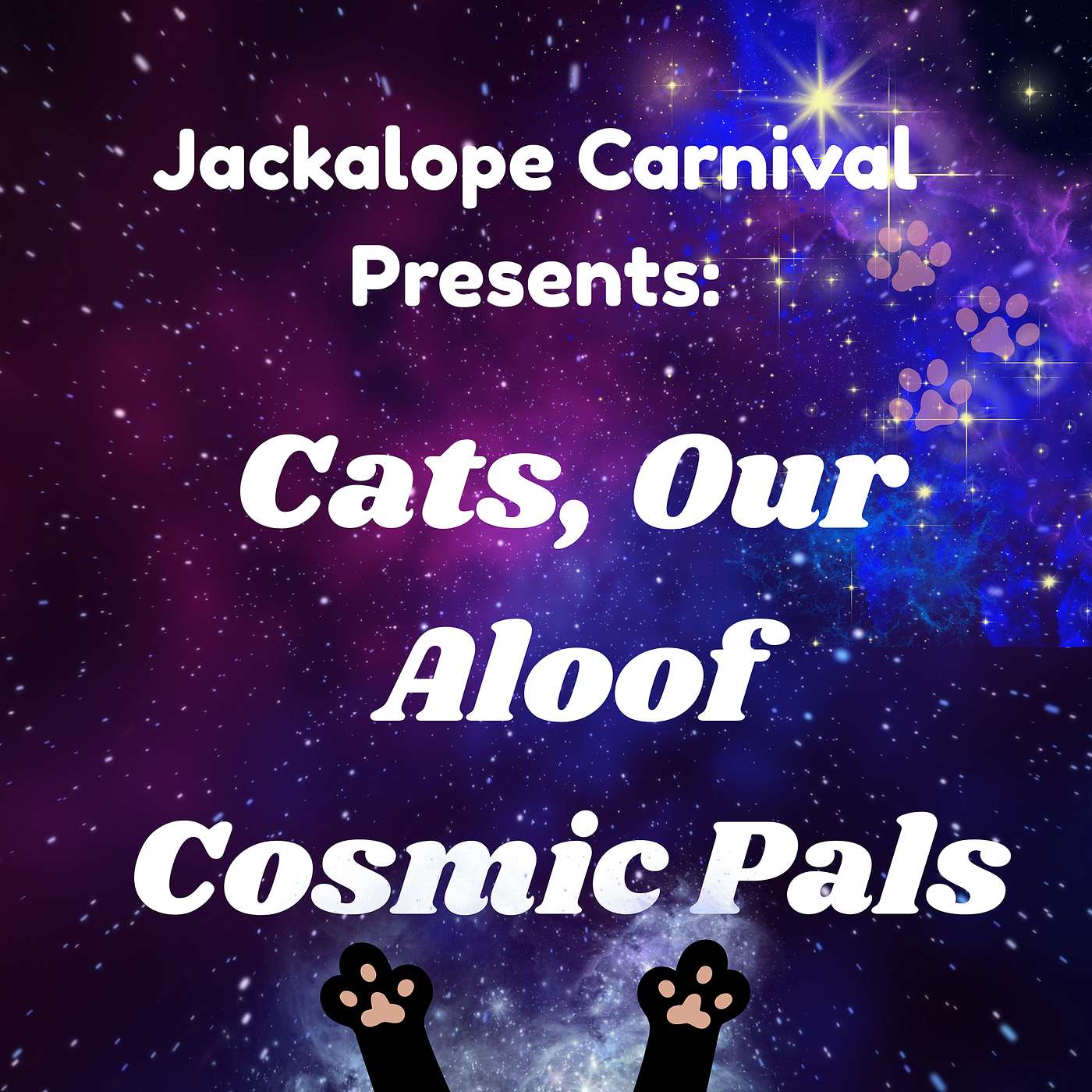 Cats, Our Aloof Cosmic Pals