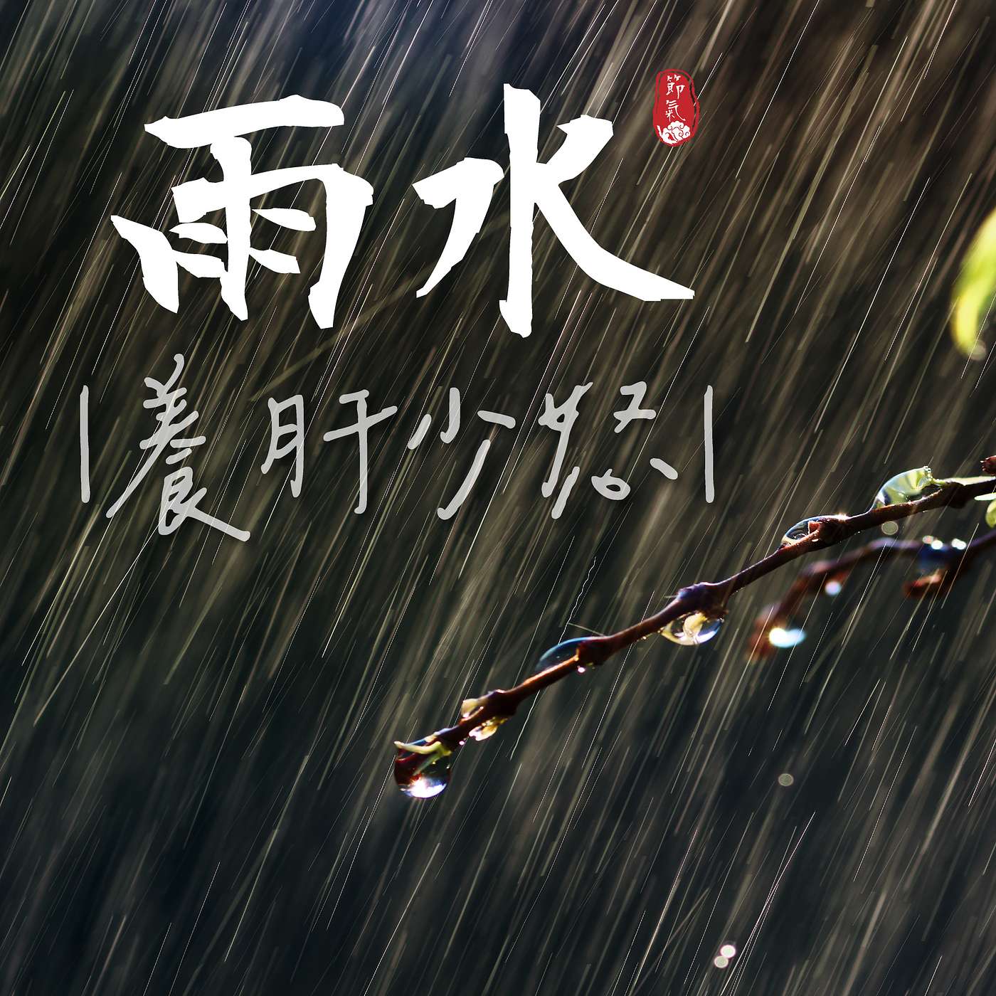 02-雨水｜2026洛桑節氣站