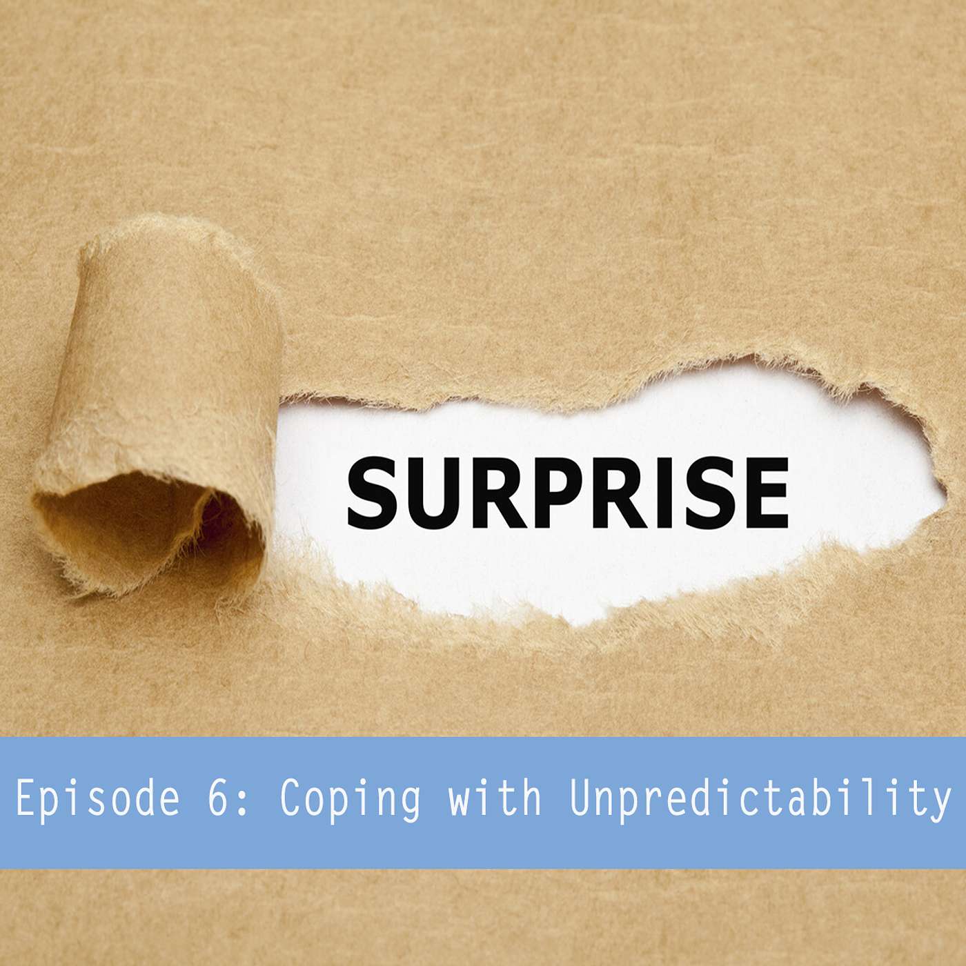Episode 6: Coping with Unpredictability