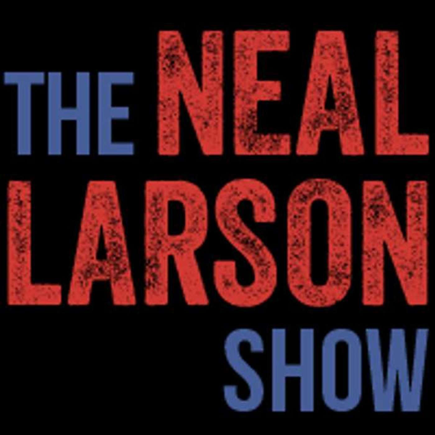 1.13.2025 -- NLS -- Fires, Pay Raises, and TikTok: Political Fallout and National Security episode artwork