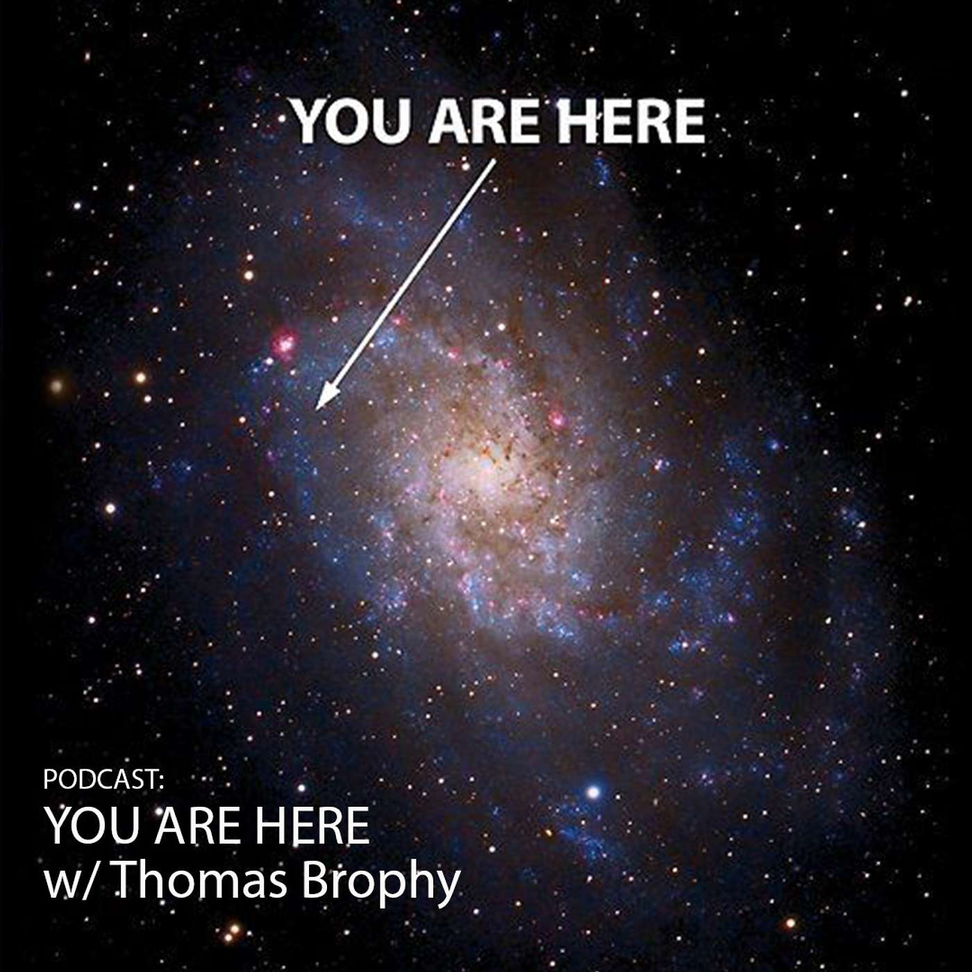 4. You are here!