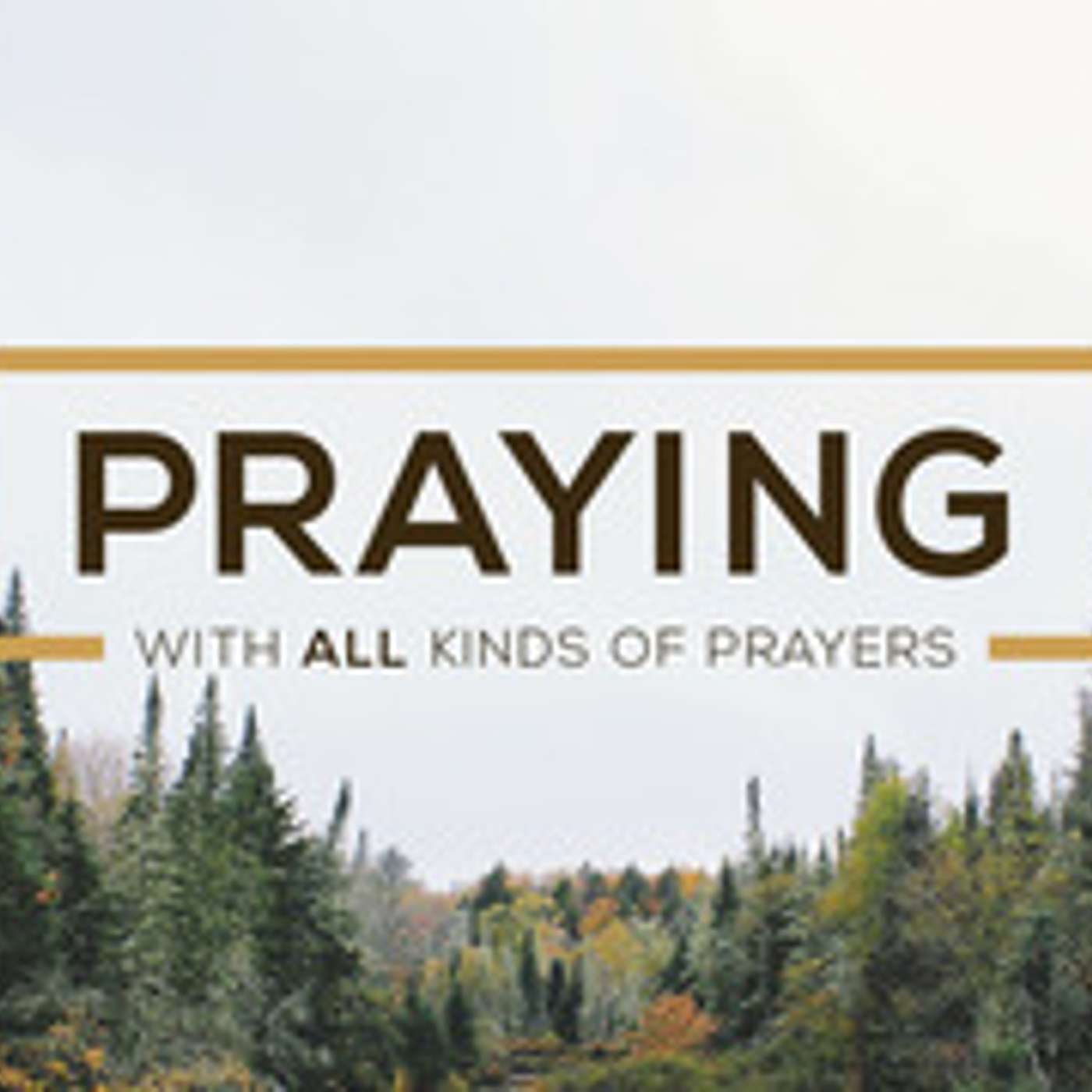 Praying With All Kinds of Prayers #2 episode artwork