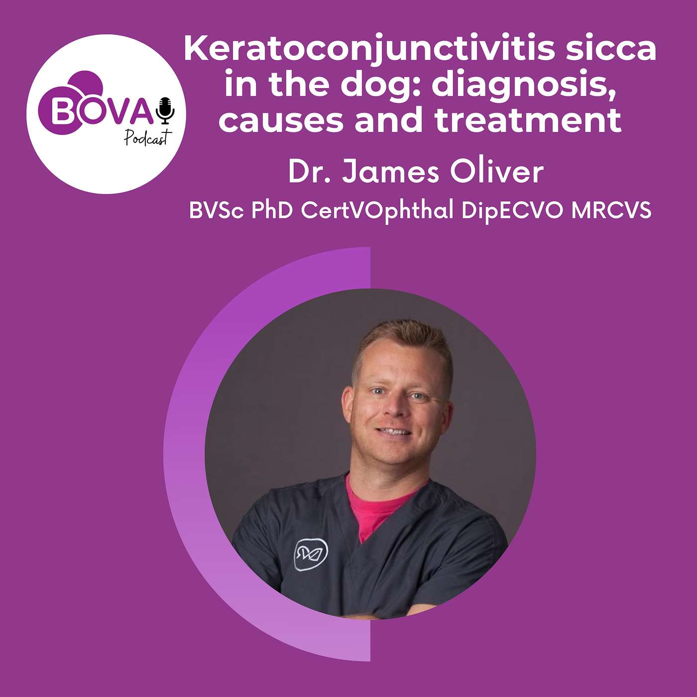 Bova UK Podcast