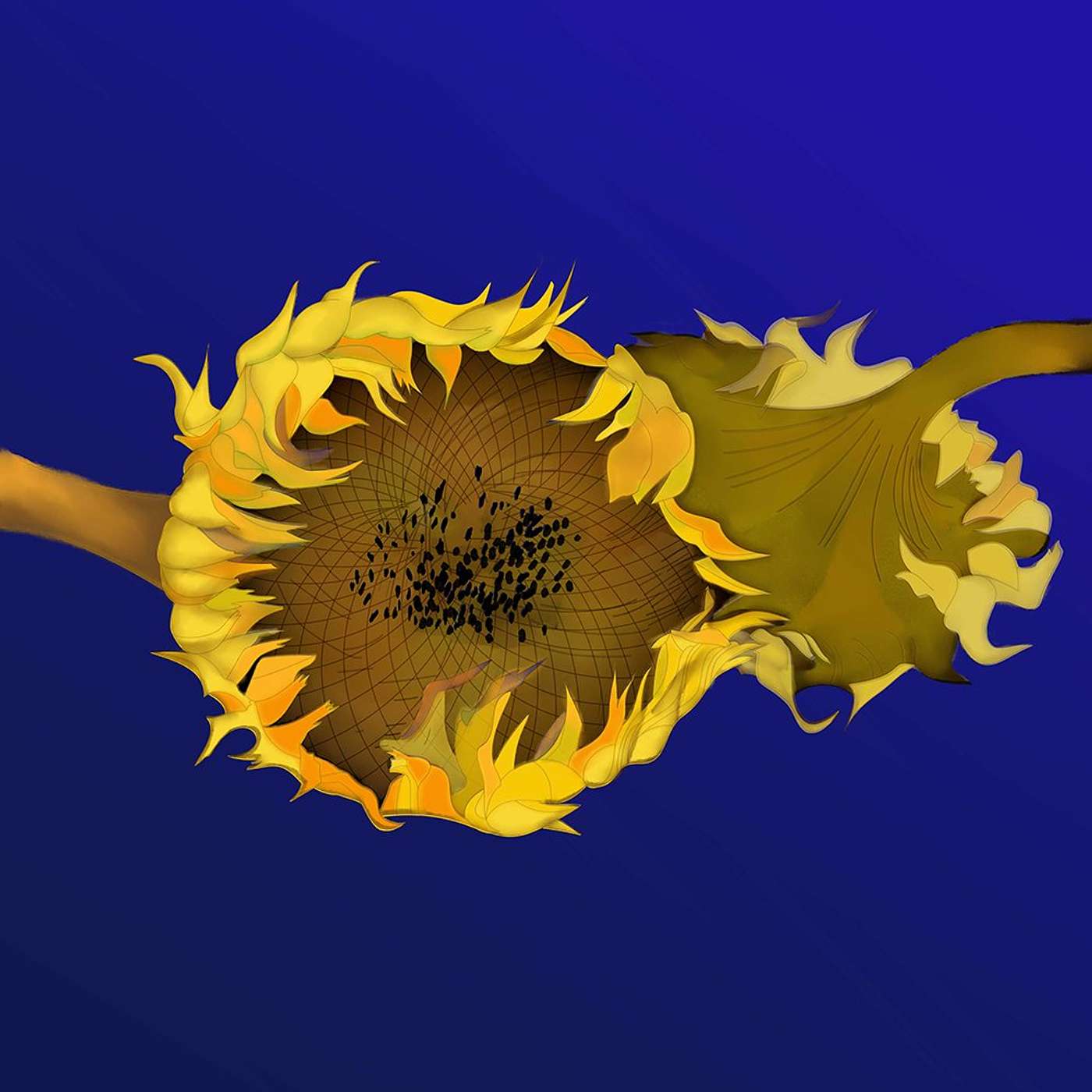 Gratitude Blooming Podcast