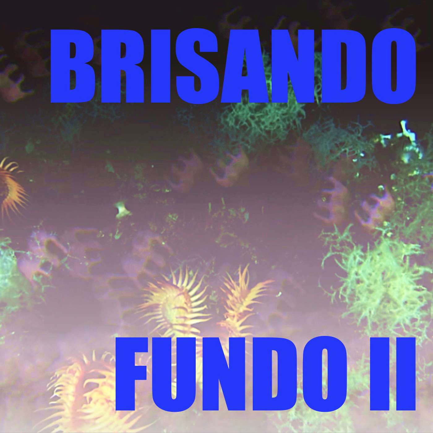Elefantes na Neblina