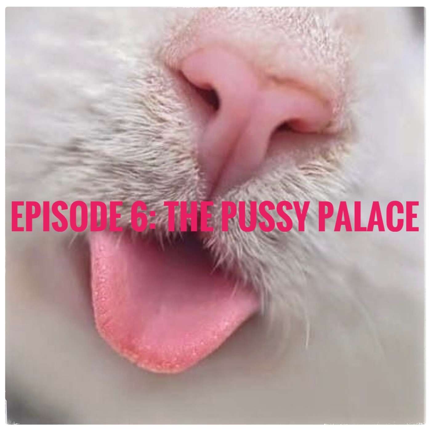 {BEST OF SEASON 1}The Pussy Palace episode artwork