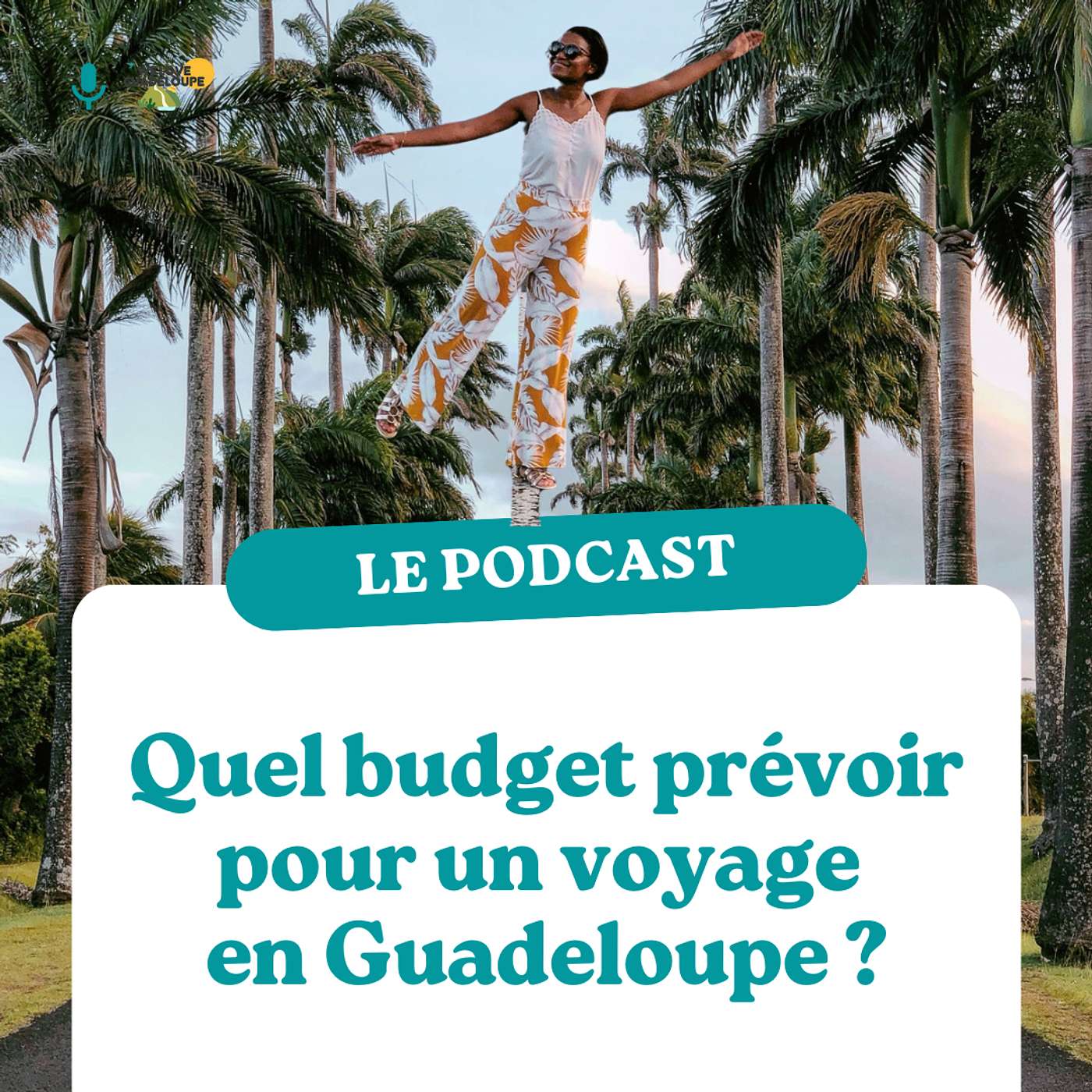 Episode 8 - Quel budget prévoir pour un voyage en Guadeloupe ?