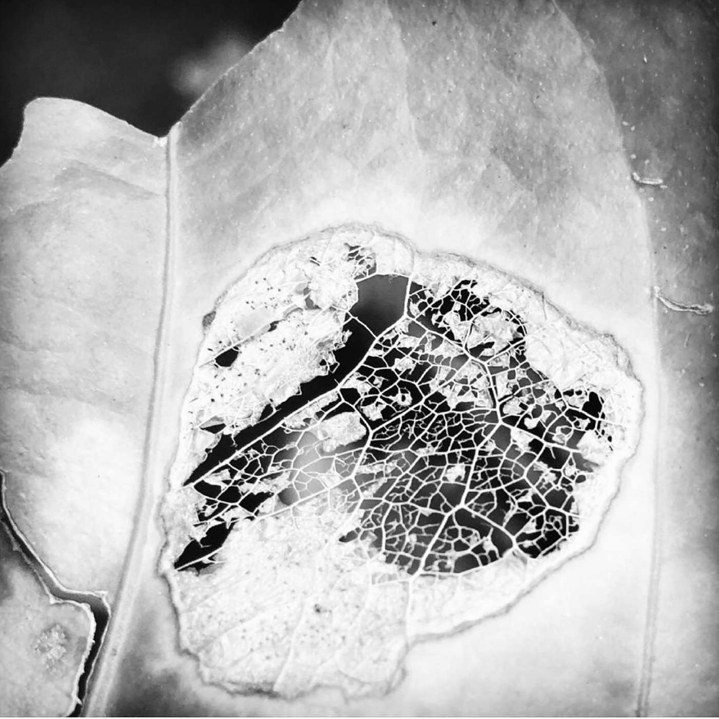 Conversation with Amna A Emir "Can Malaysian Architecture Schools be like the AA School?" (Part 2)