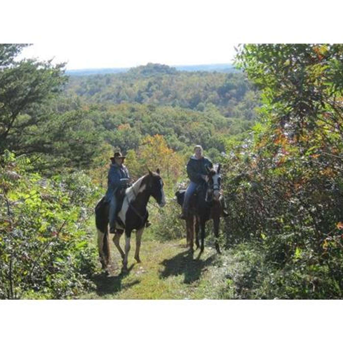 RIDE APPALACHIA'S FOOTHILLS  & SUSANA GIBSON TRAILBLAZER on SADDLE UP AMERICA!
