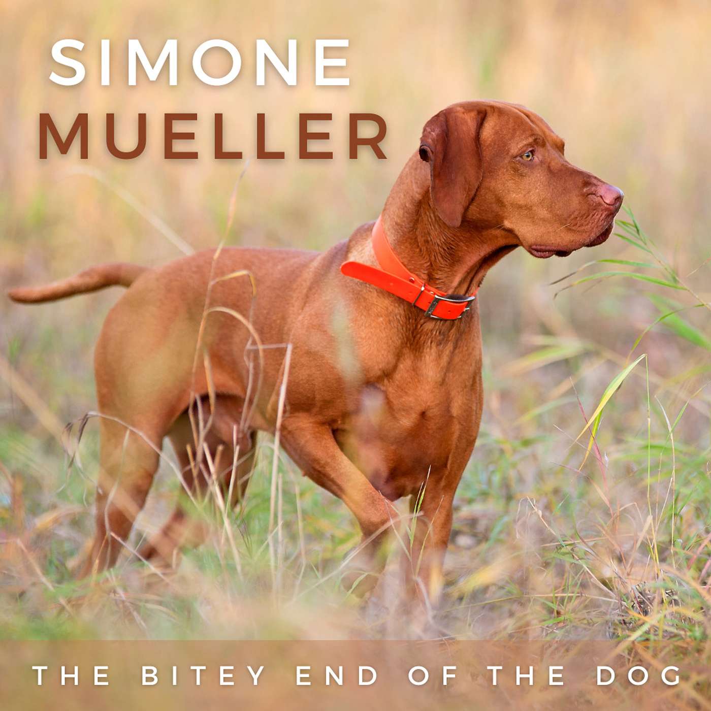 The Bitey End of the Dog