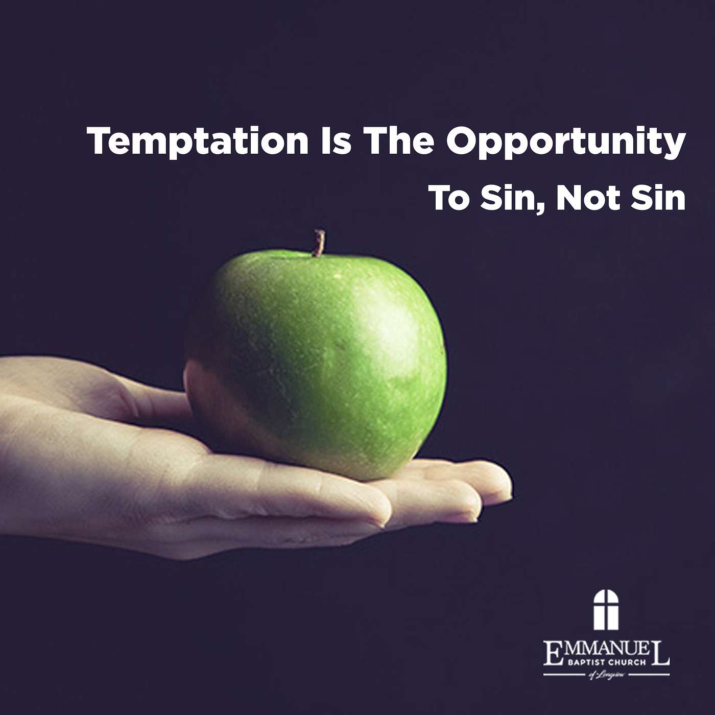 Temptation Is The Opportunity To Sin, Not Sin - Sunday PM 03/09/2023 - Pastor Bob Gray II episode artwork