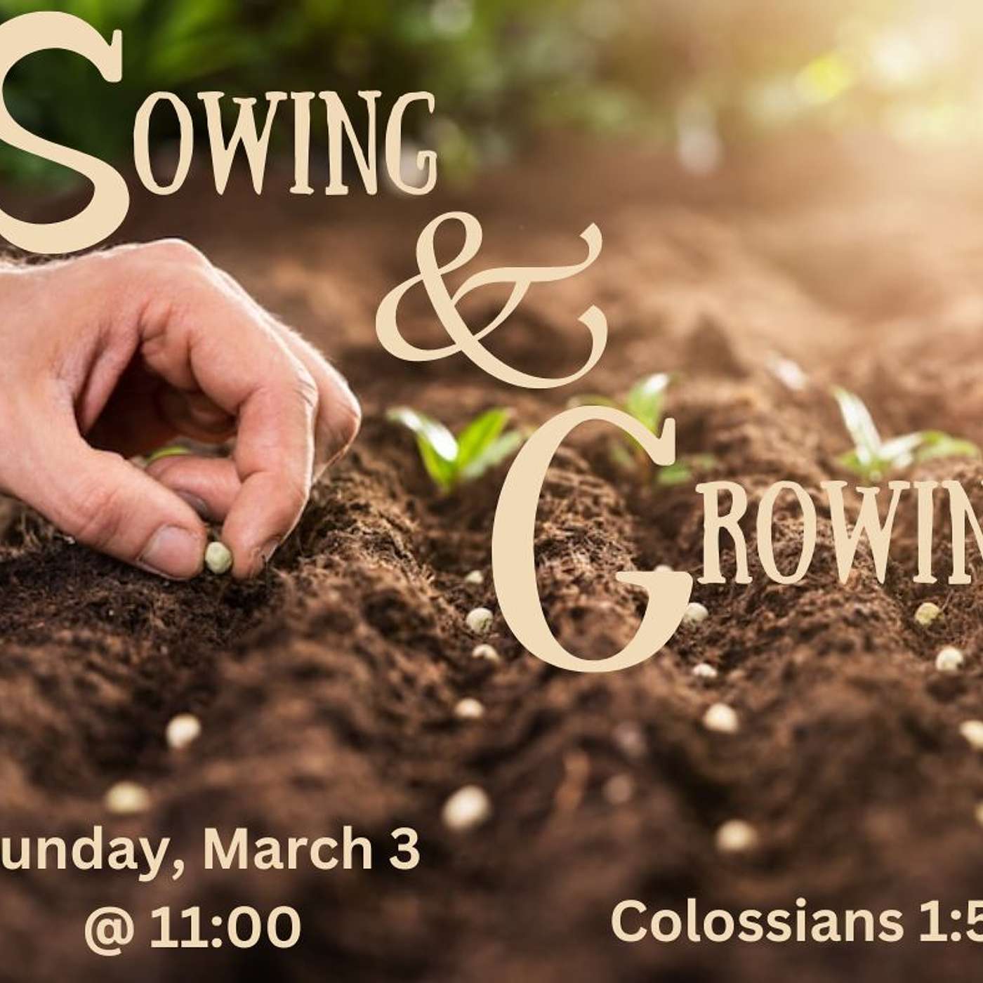 Sowing And Growing