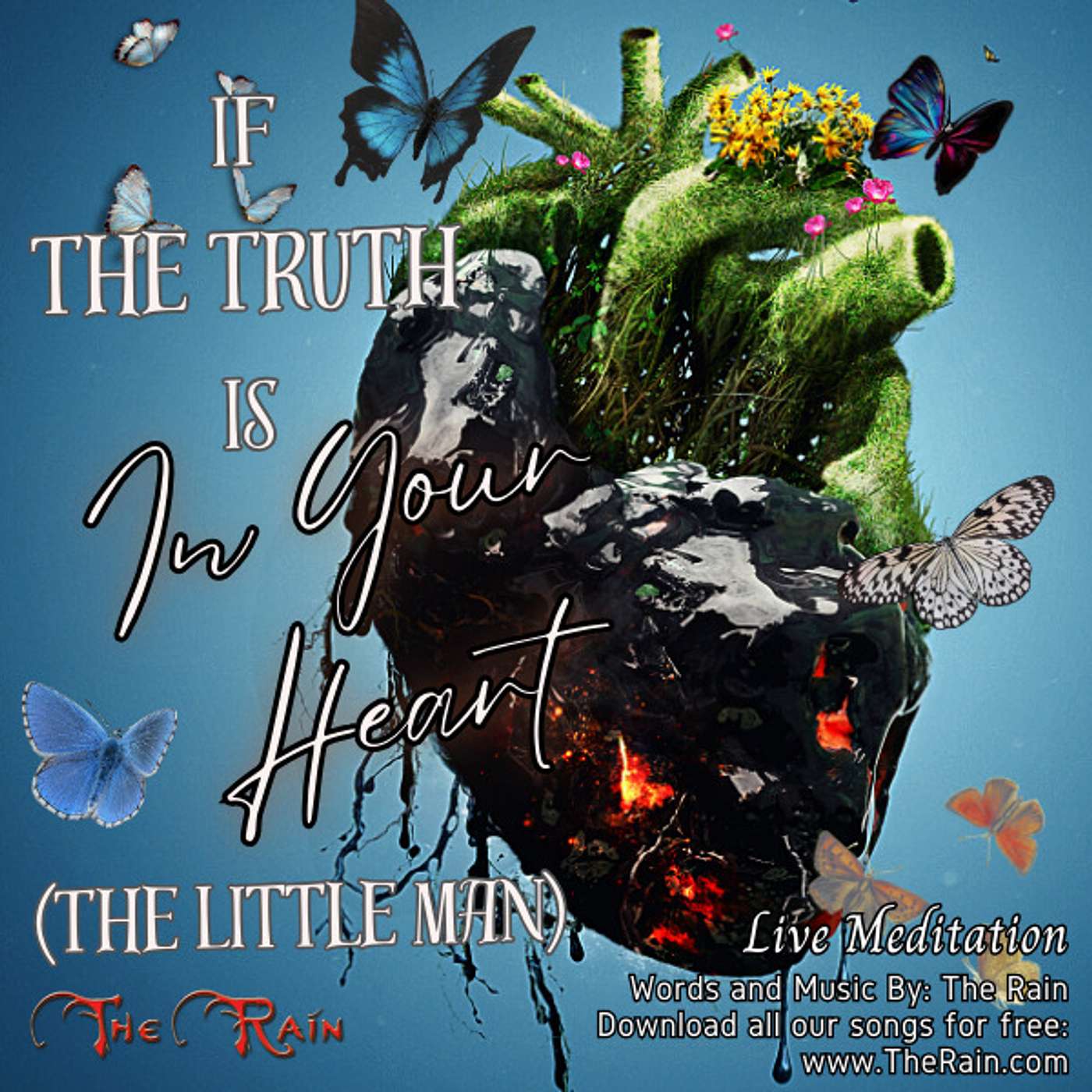 If The Truth Is In Your Heart (The Little Man) - Live