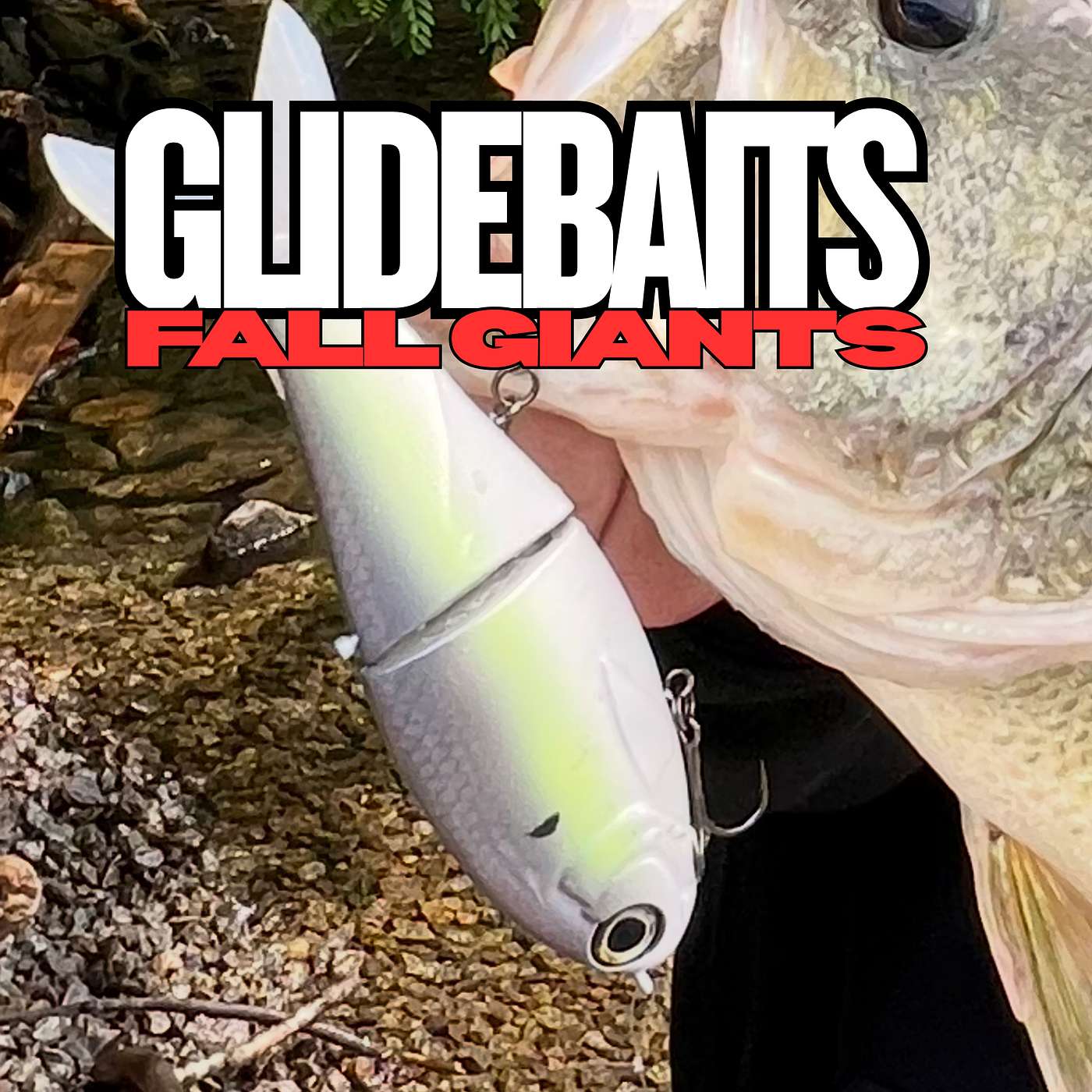 The Fall Bite: Triggering Giant Bass With Glidebaits