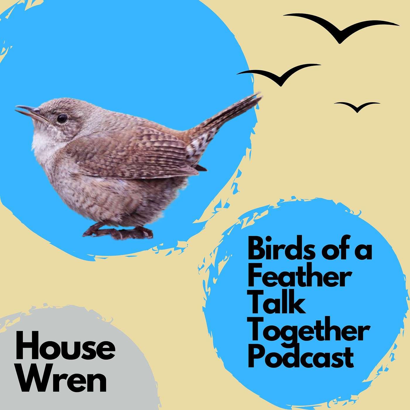 Birds of a Feather Talk Together