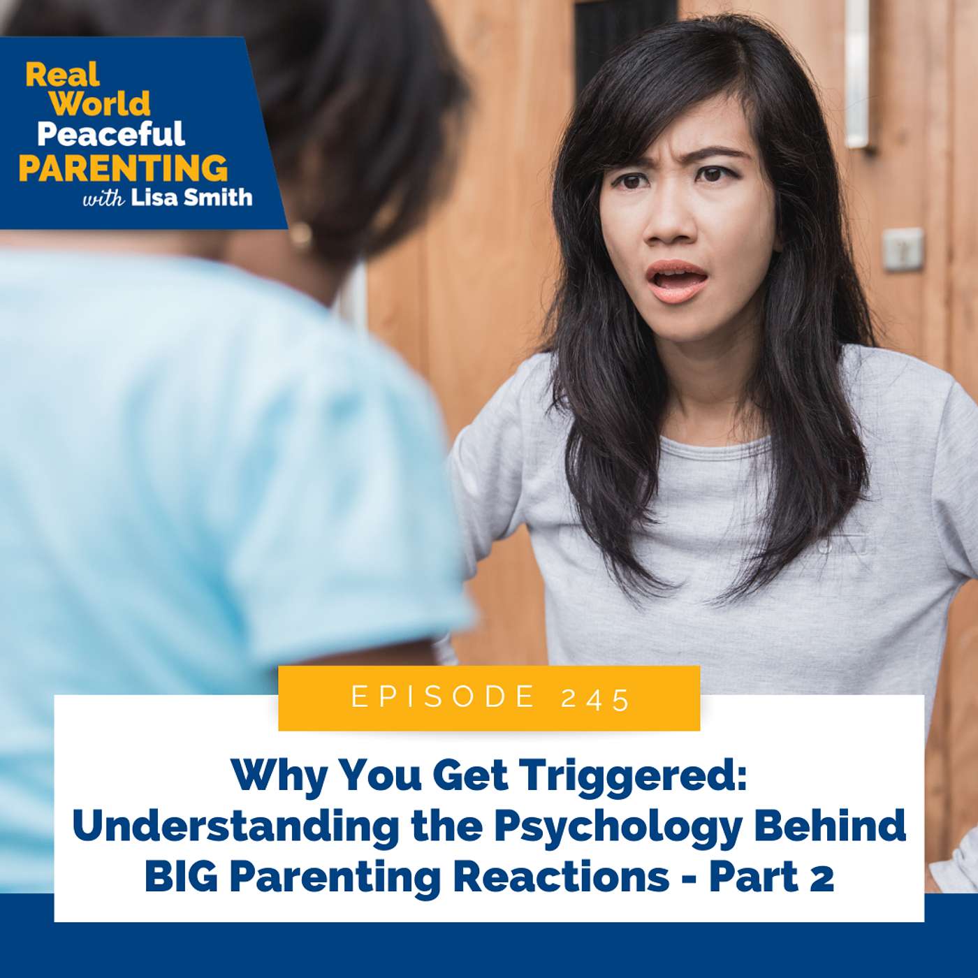 245: Why You Get Triggered: Understanding the Psychology Behind BIG Parenting Reactions - Part 2