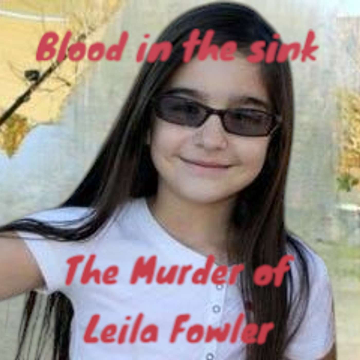 Blood in the Sink: How a 12-Year-Old Almost Got Away With Murder episode artwork