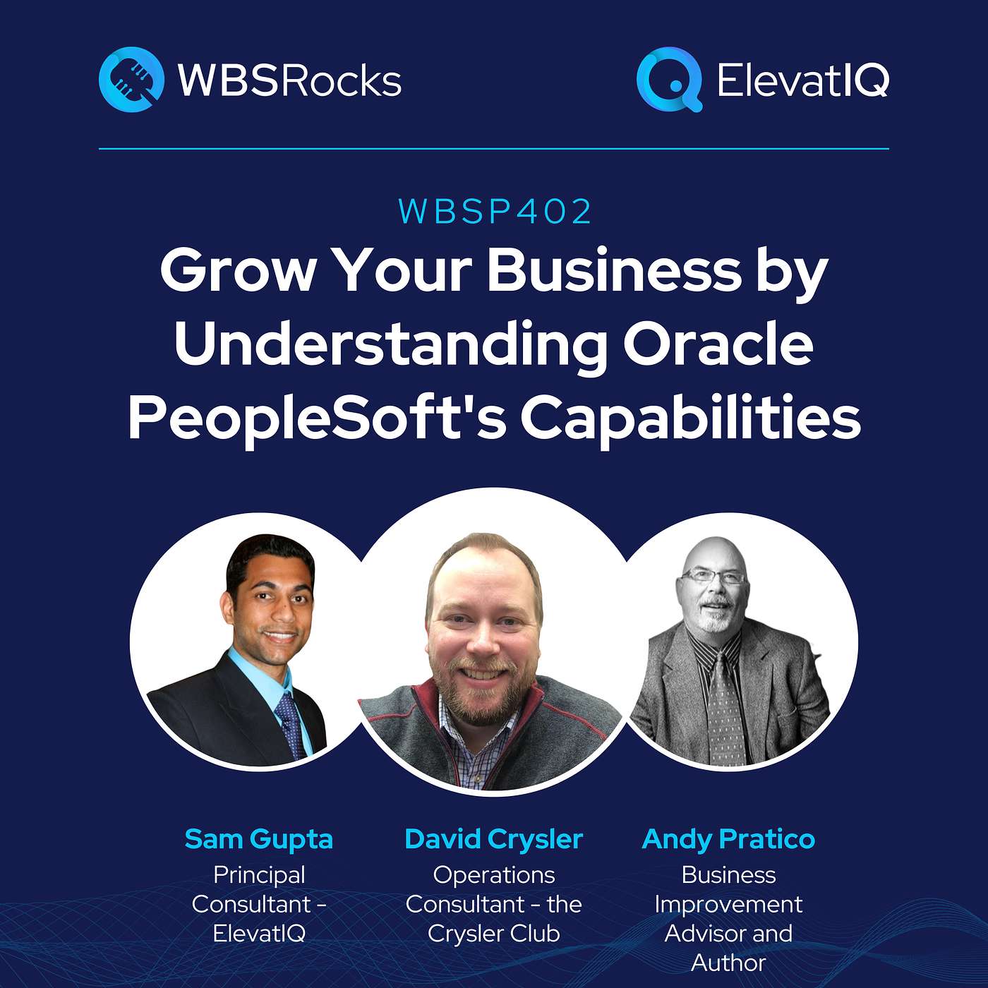 WBSP402: Grow Your Business by Understanding Oracle PeopleSoft's Capabilities, an Objective Panel Discussion