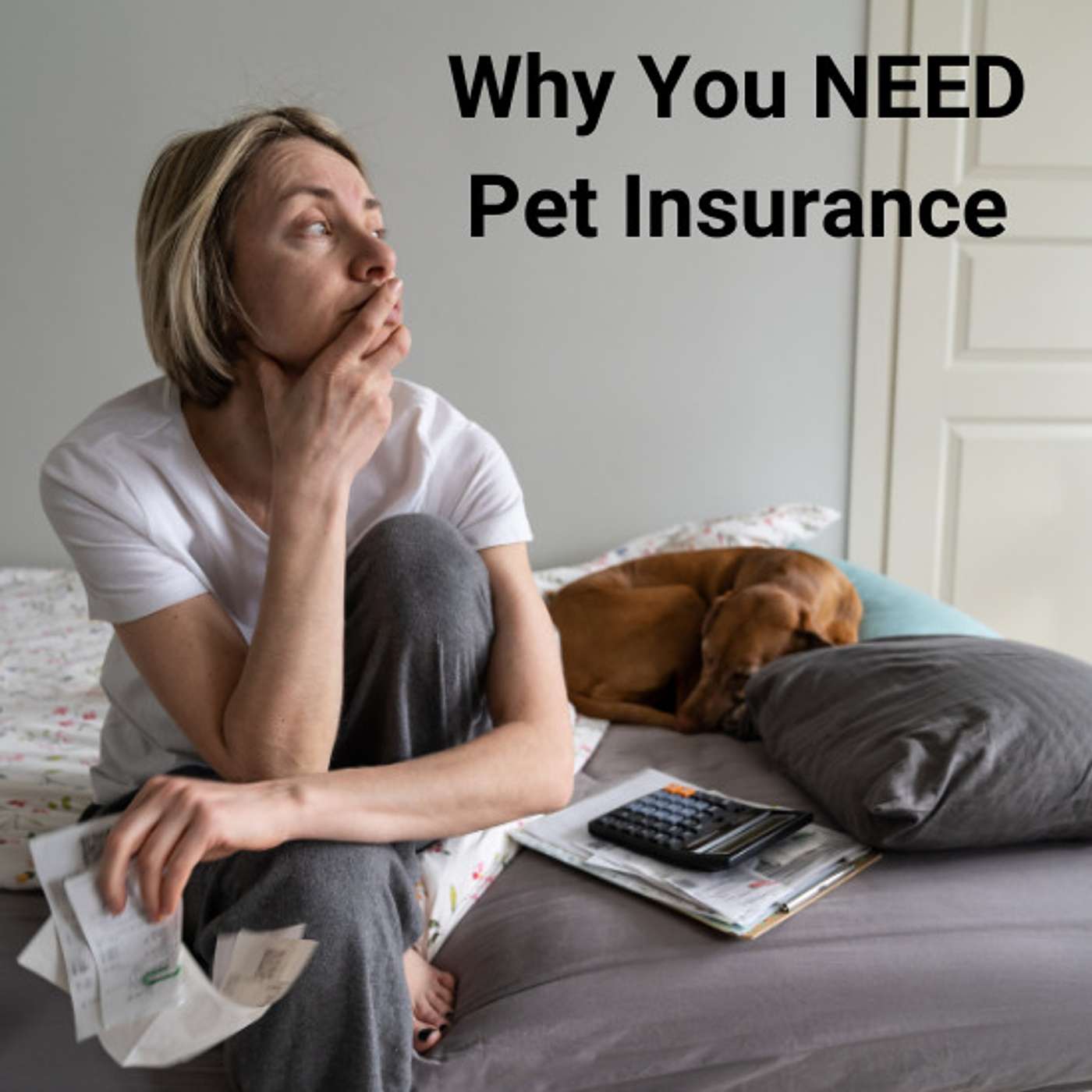 Pet Lover Geek
