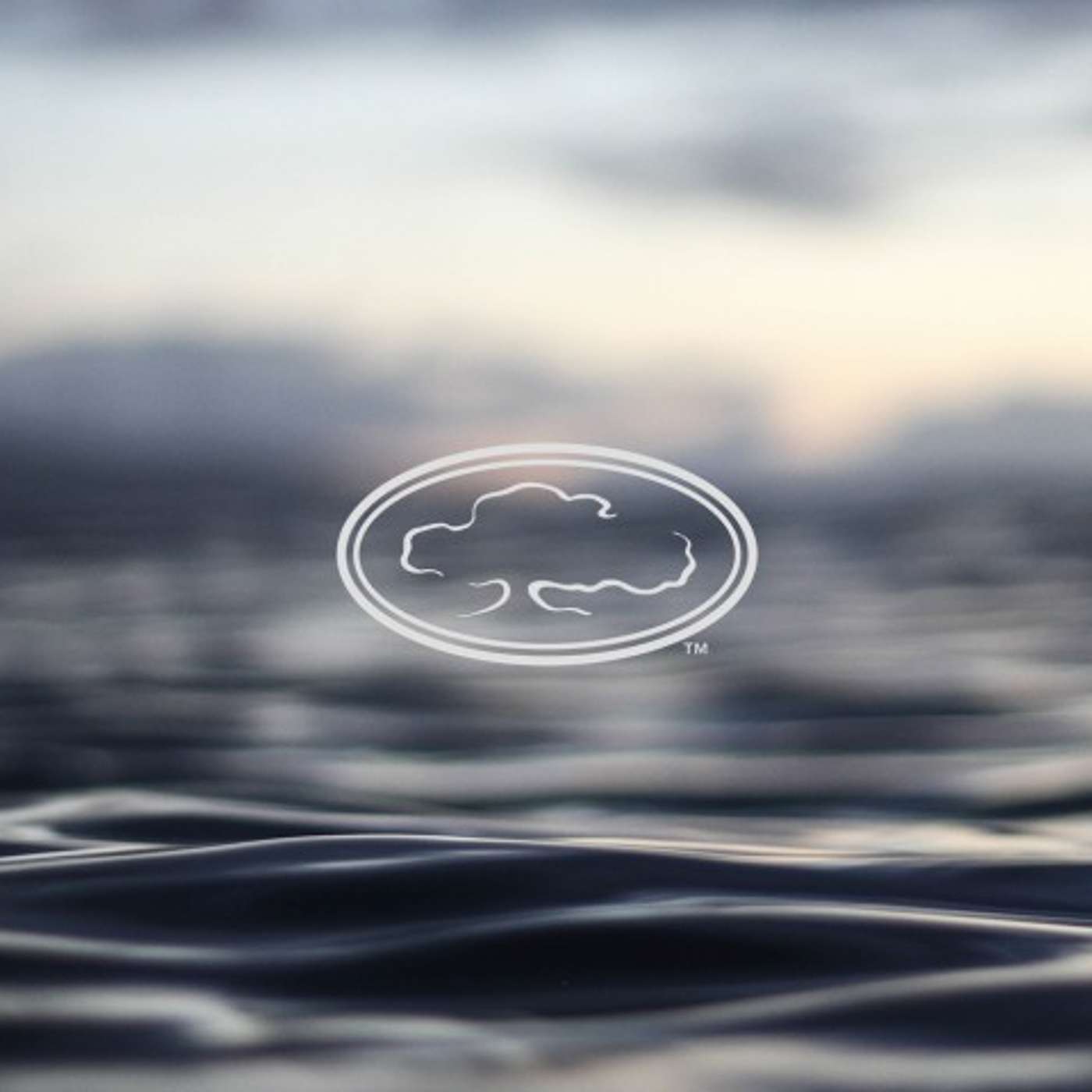 A Time To Remember, A Time To Forget | Marshall Townsley