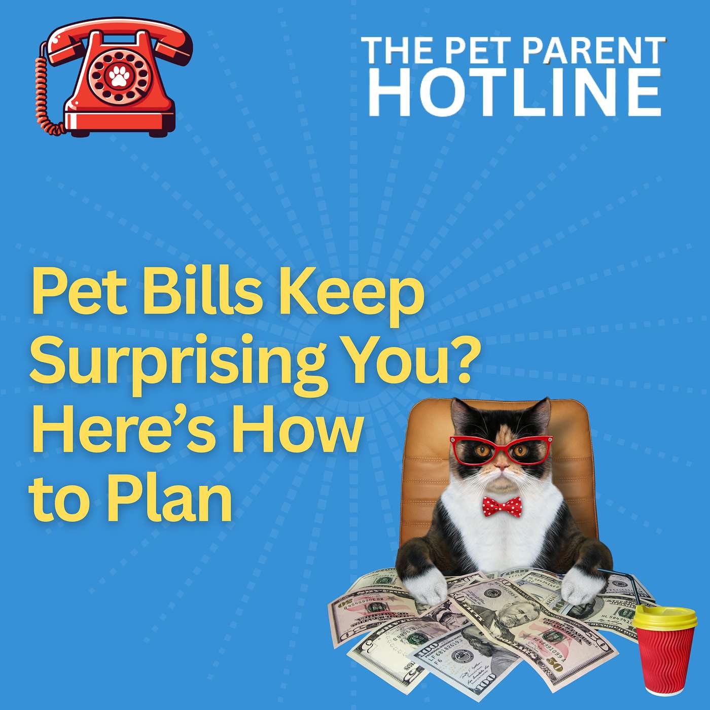 Pet Bills Keep Surprising You? Here’s How to Plan