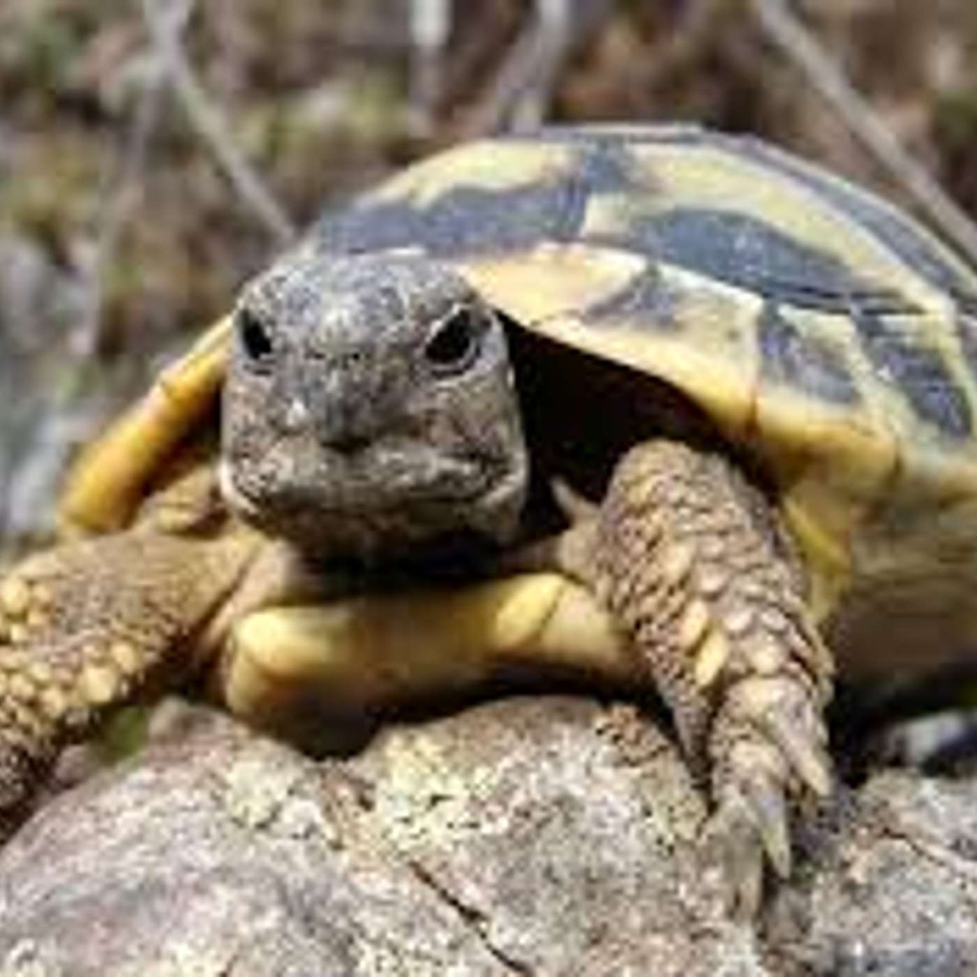 Attenzione all'autunno! Piccoli consigli... di stagione!