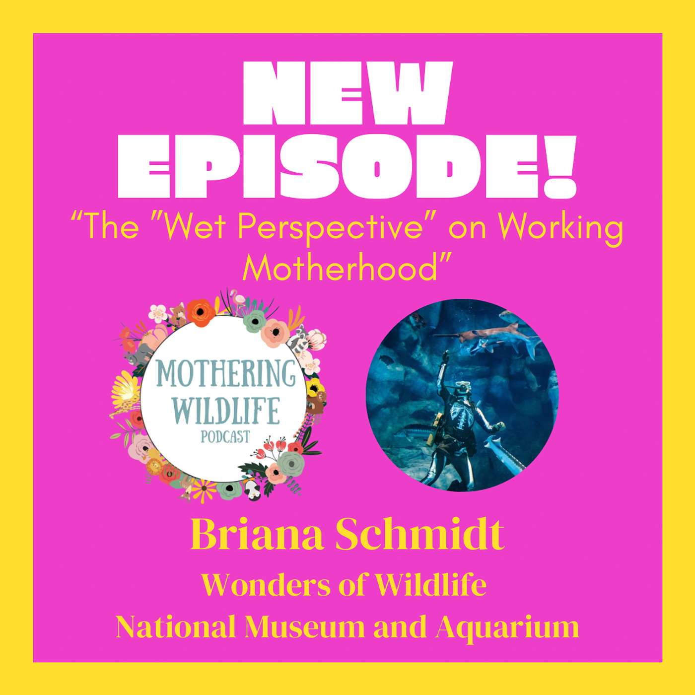 The "Wet Perspective" on Working Motherhood with Briana Schmidt from Wonders of Wildlife National Museum and Aquarium episode artwork