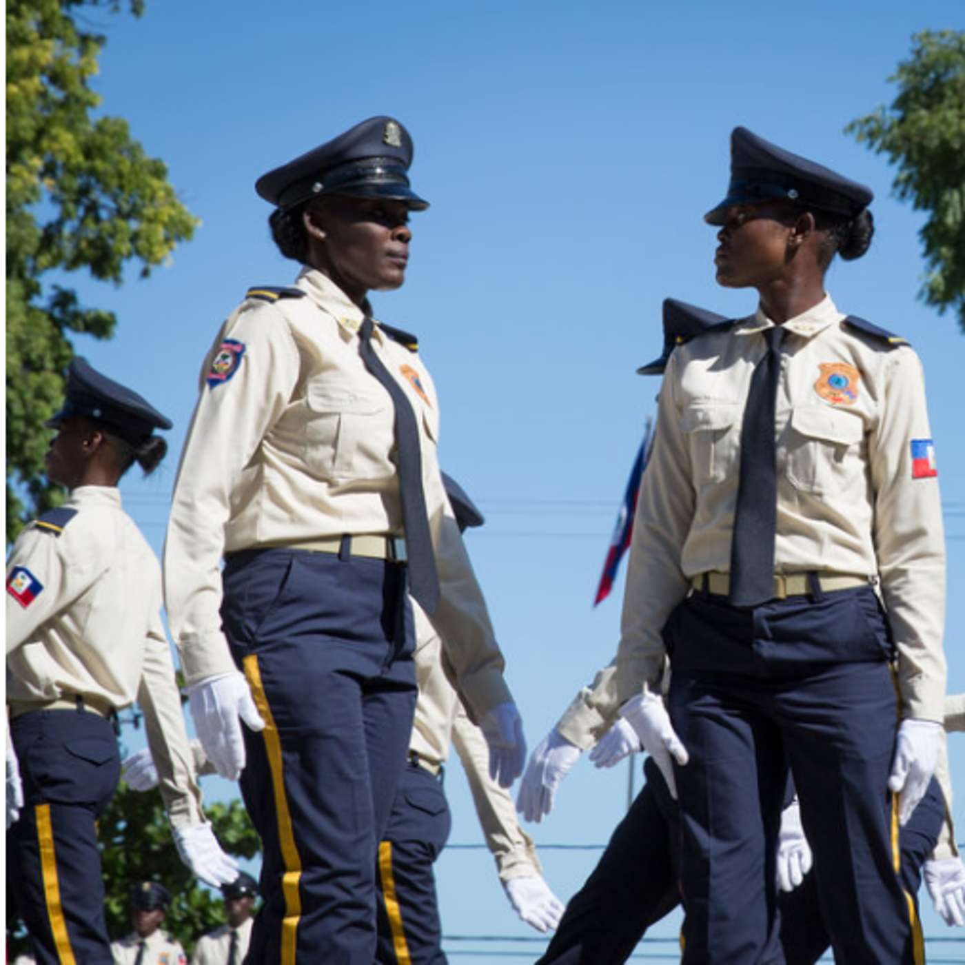 Episode 8 | Police Nationale d’ Haïti - (PNH) : Comment éviter le précipice de l'extinction