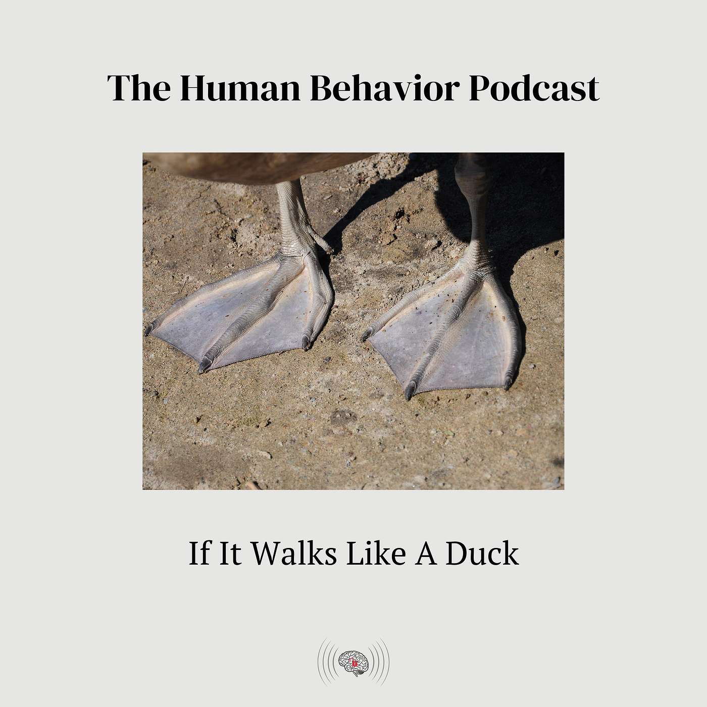 If It Walks Like A Duck