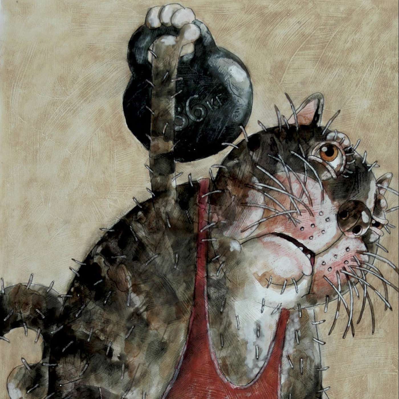 SEMPER FORTIS Podcast